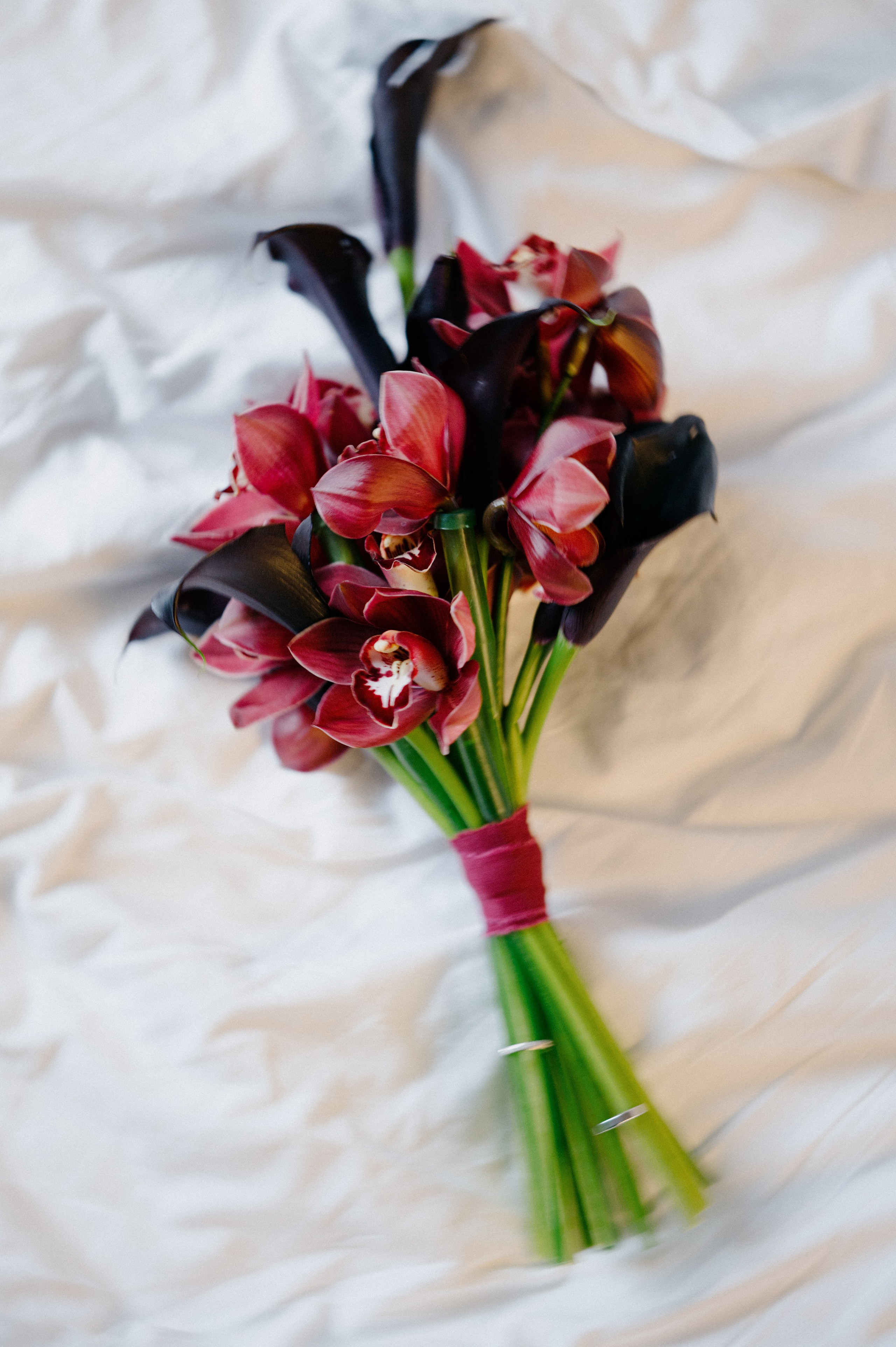 ЖЕНЯ И ДАША. Свадебный и семейный фотограф Никита Корохов