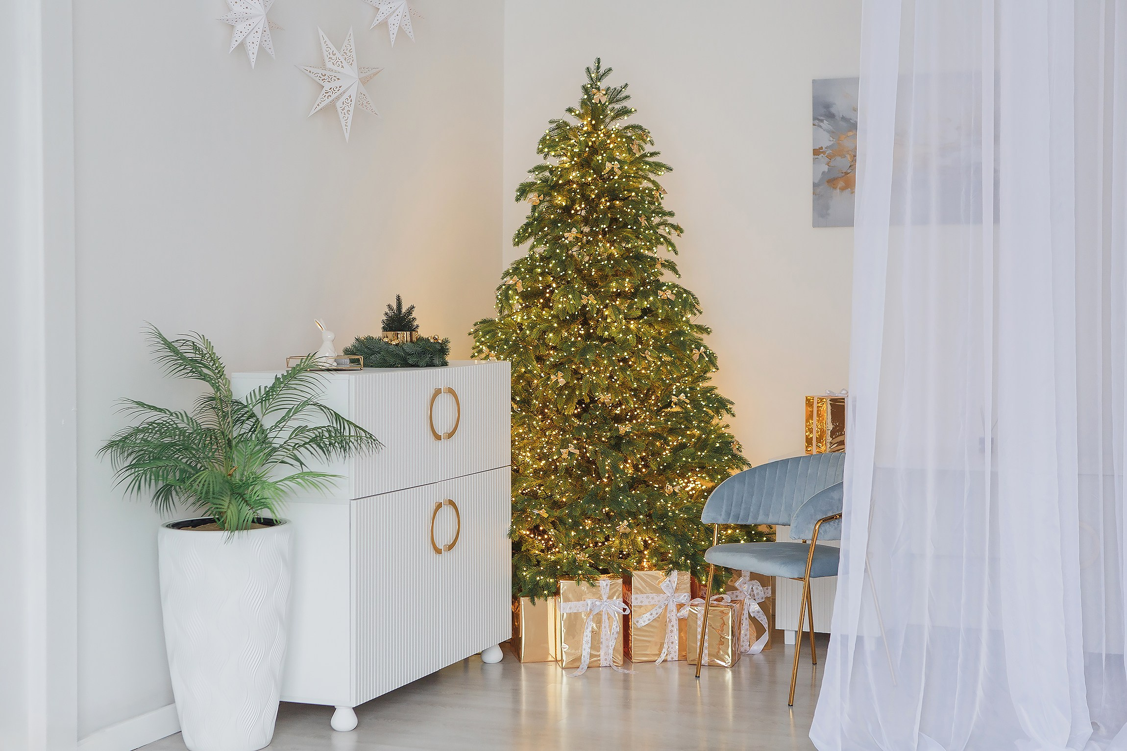 Смузи — зал Контент (циклорама и зона с елкой) Изумрудные Холмы. Семейный и детский фотограф в Москве и МО — Александра