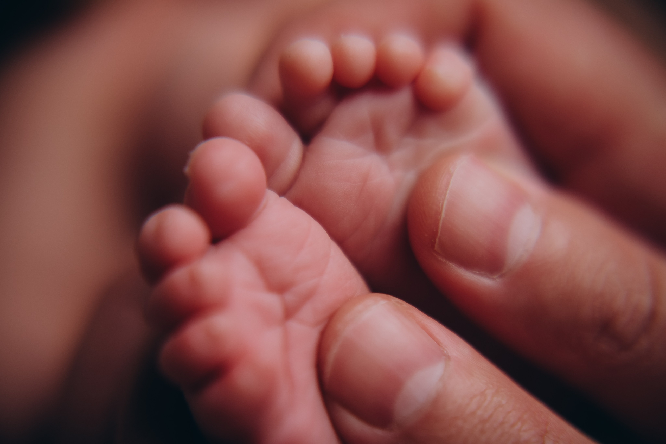 Фотосессия ньюборн, newborn Москва, фотосессия новорожденных. Ньюборн и детский фотограф в Москве Шигина Марина