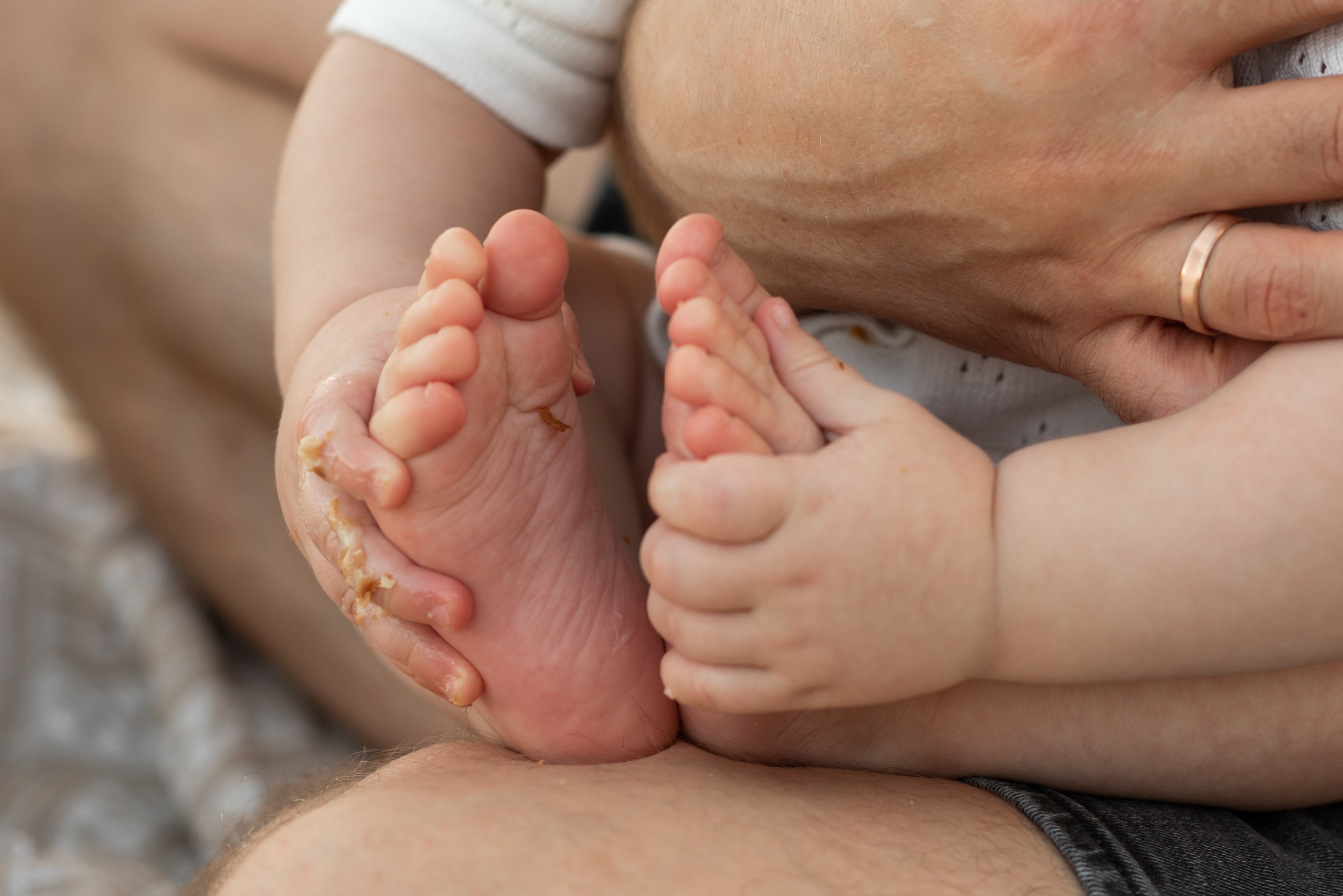 Пикник в парке. Главная