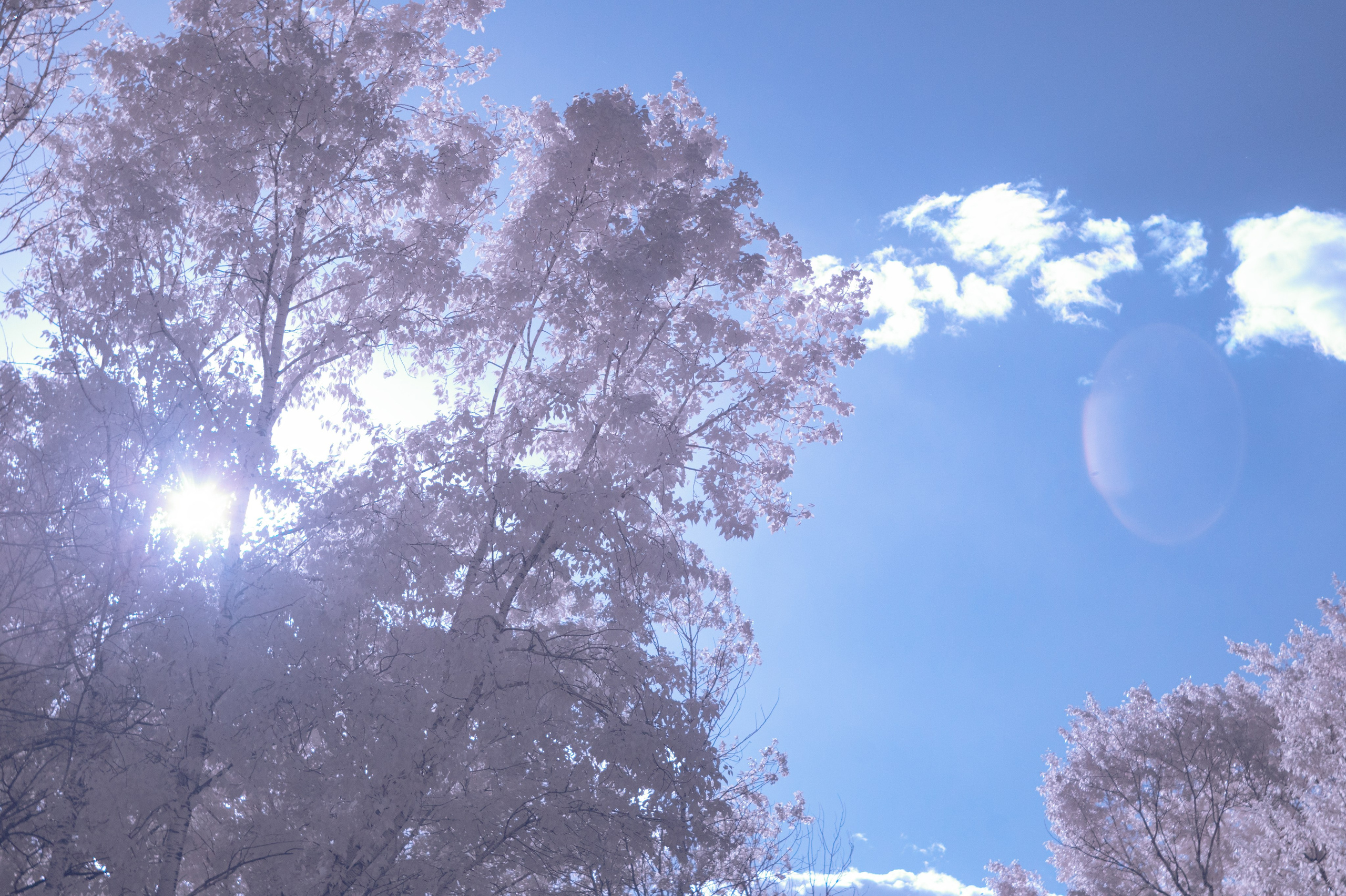 Infrared. AThumbnails