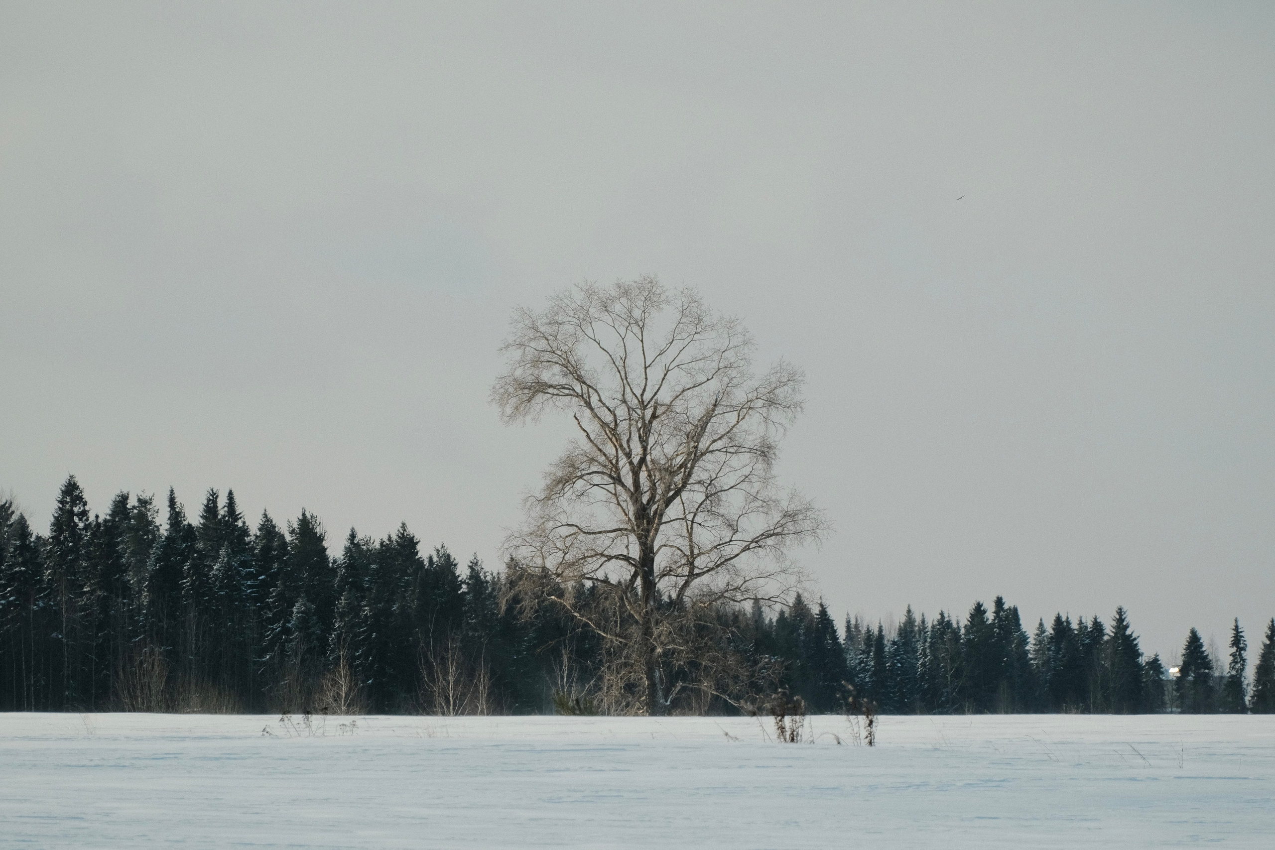 Пейзажи. Фотограф-любитель из Кирова Андрей Погребняк