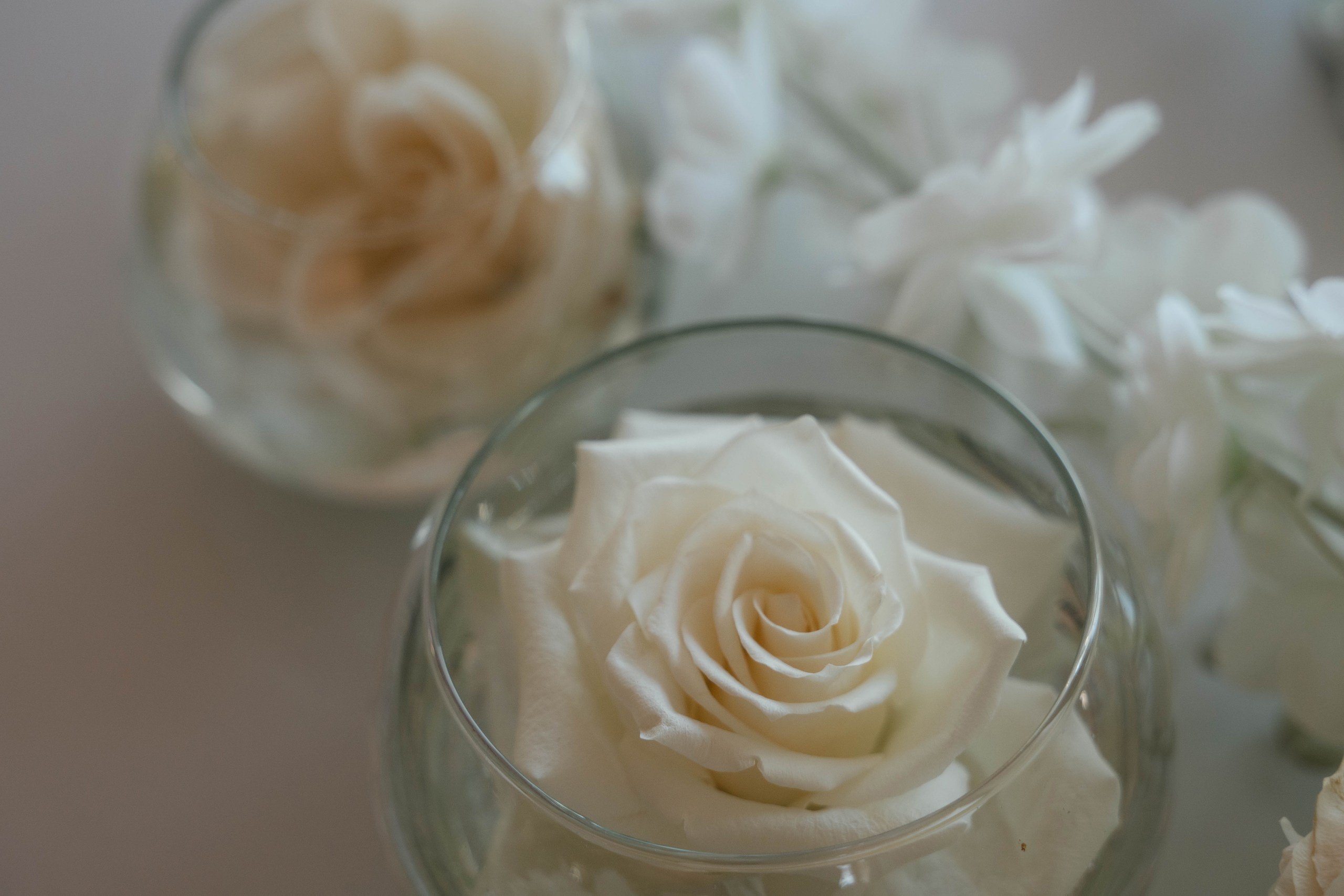 Wedding day #79. Свадебный, семейный фотограф в Рязани Лена Брант