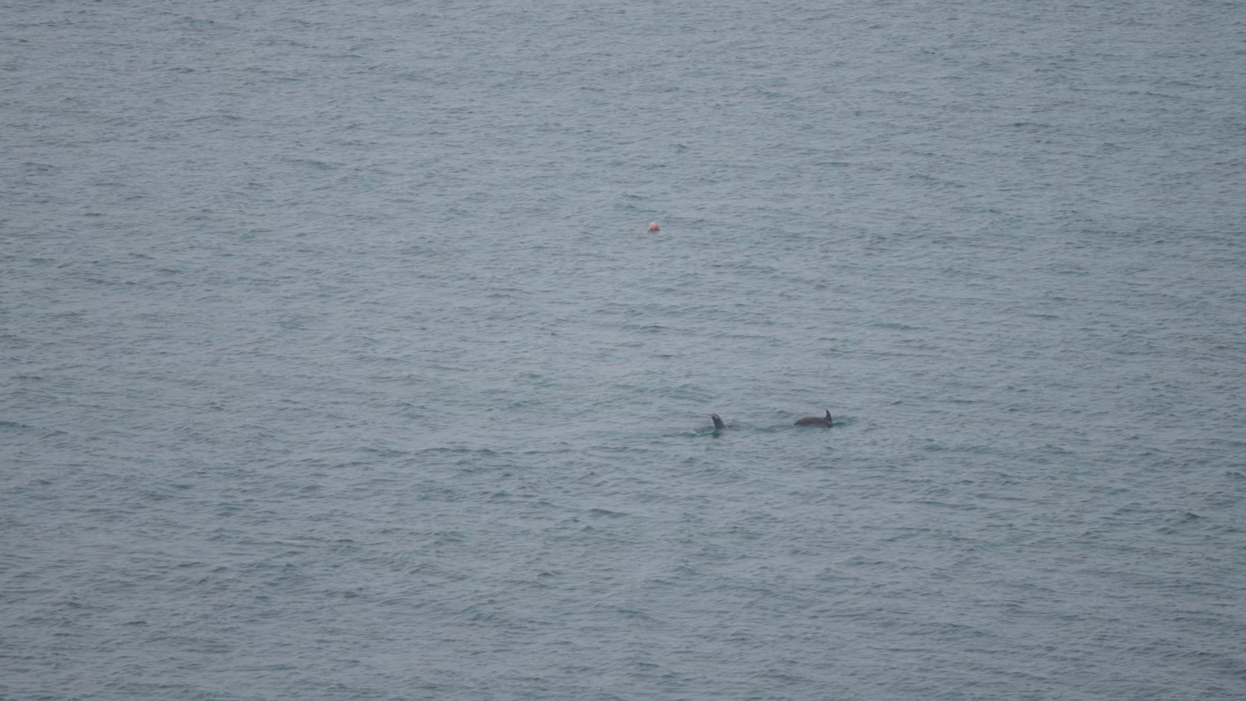 Инга и Алексей. Агата Акварель видеограф Сочи Краснодар