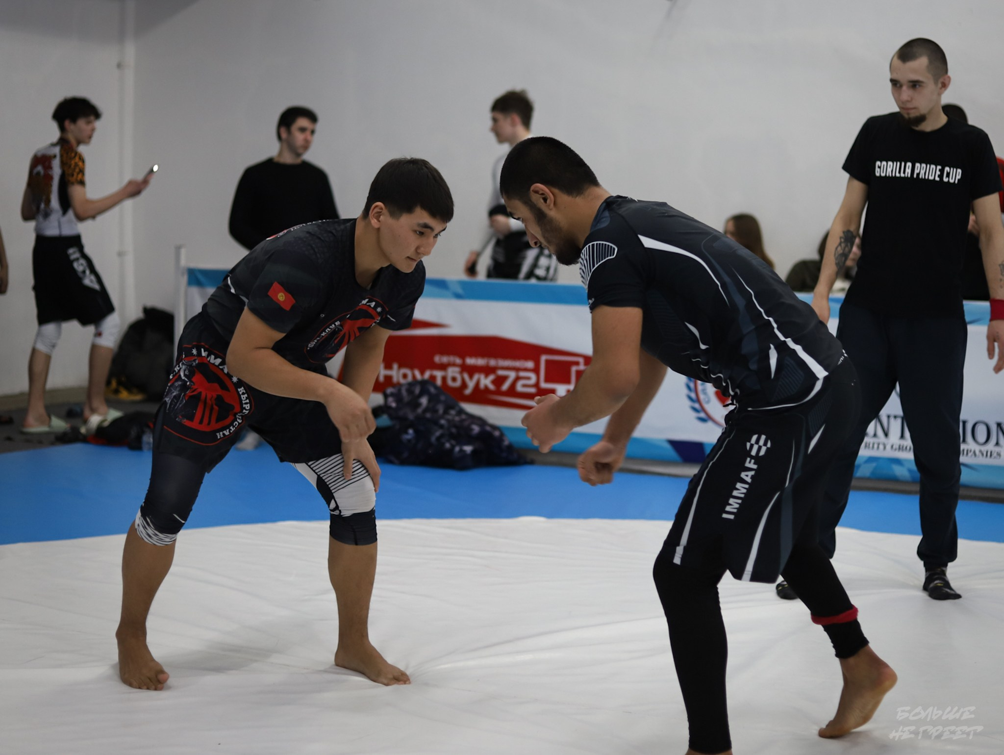 GORILLA PRIDE CUP. Больше не греет