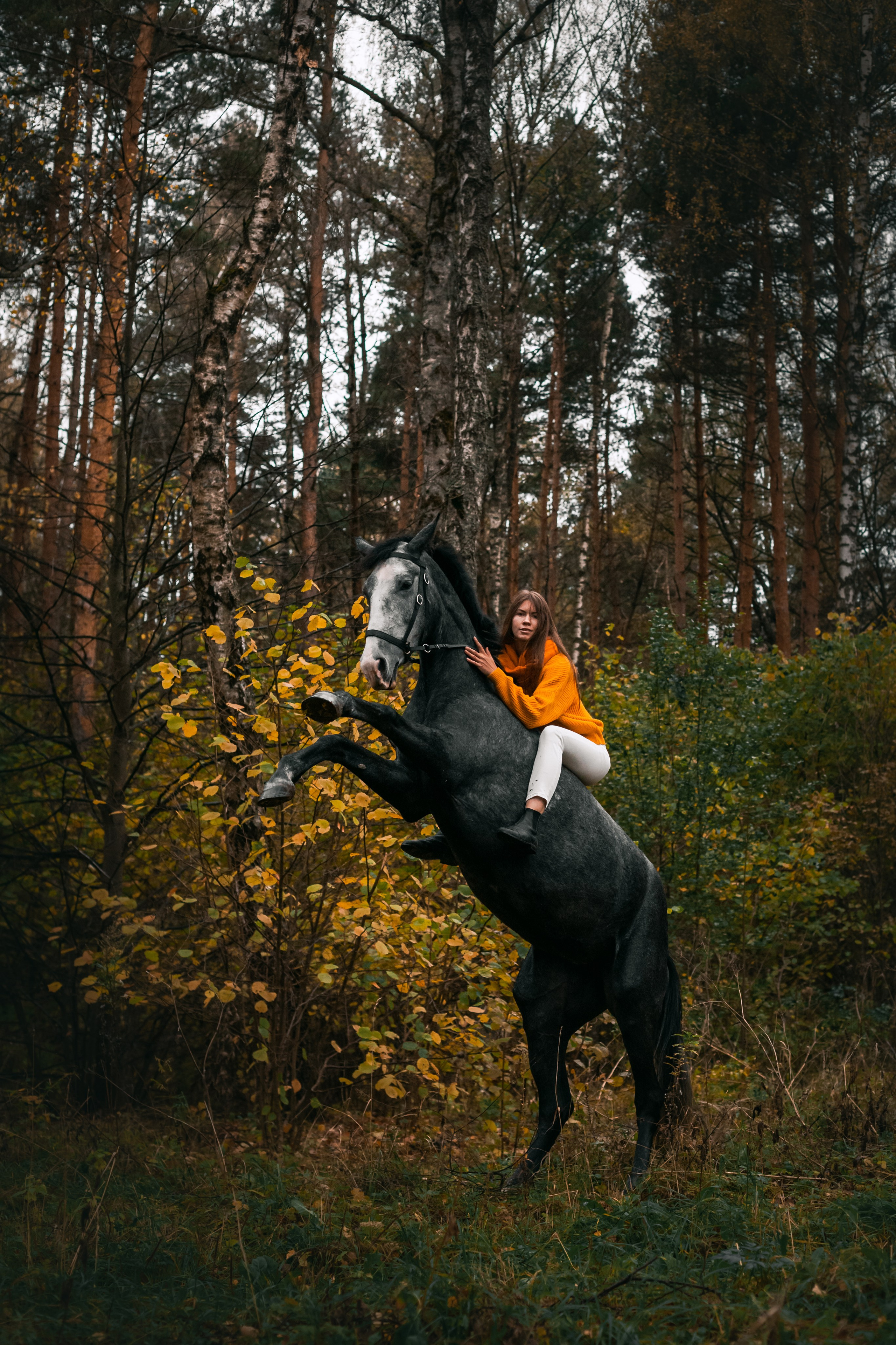 Аня и Джози. Фотограф-анималист Татьяна Степанова