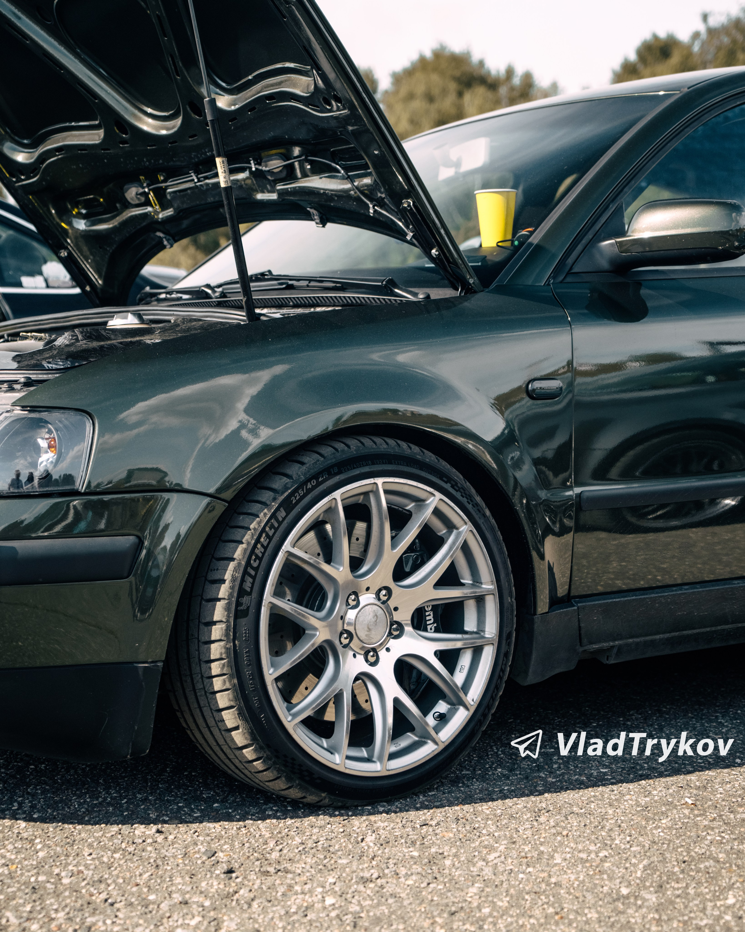 Vagburg. Vlad Trykov