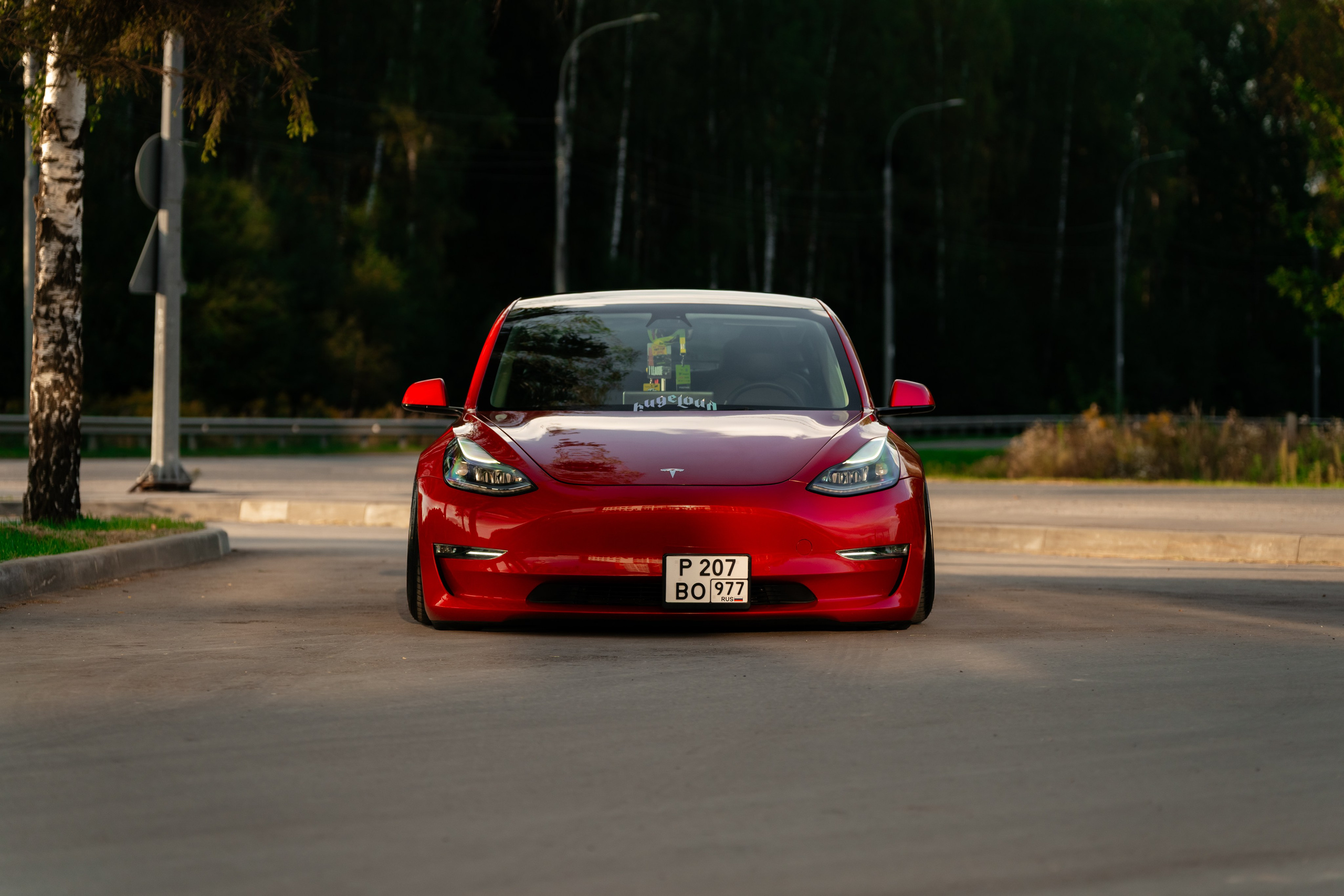 Tesla 3 Stance. Vlad Trykov