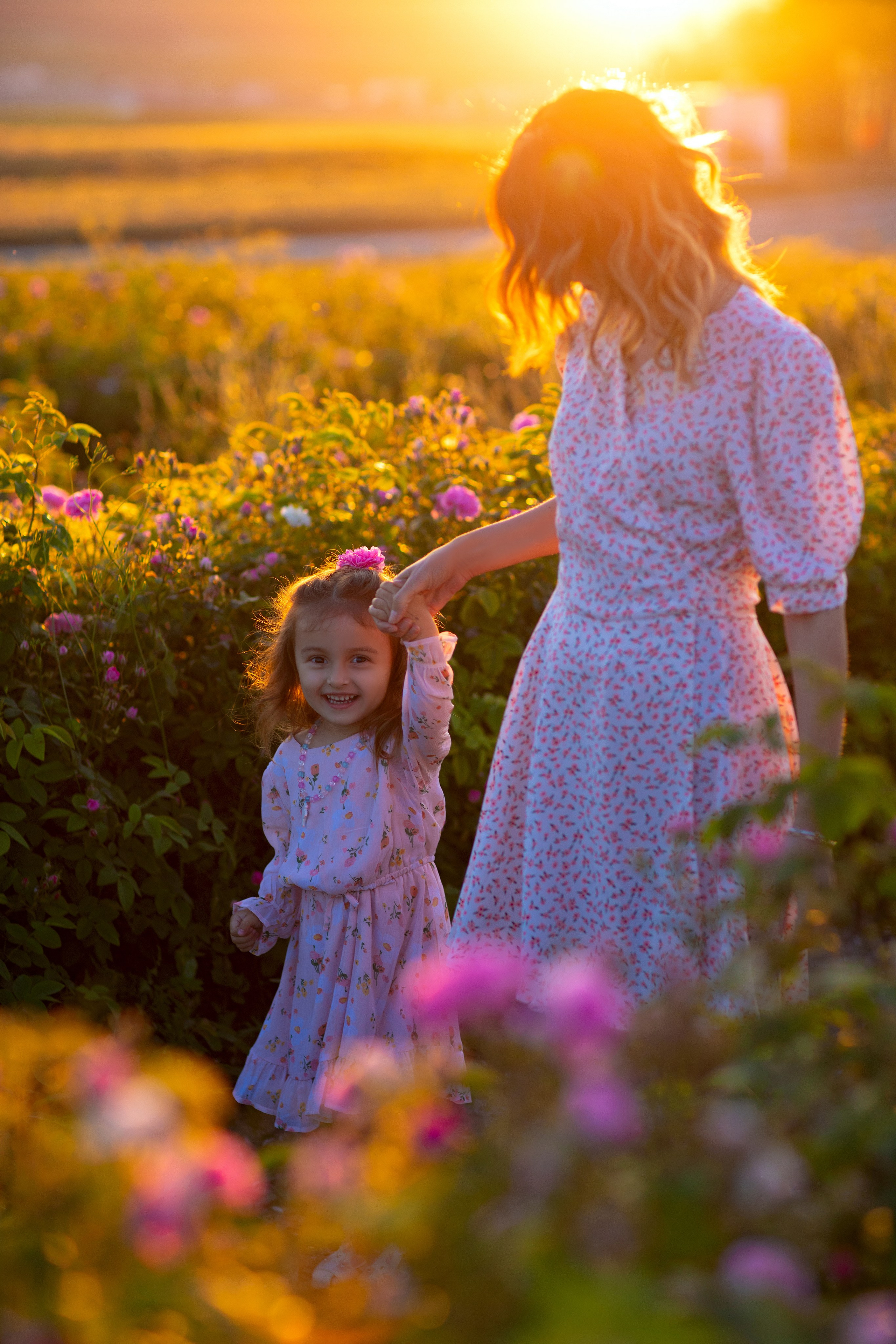 Чайная роза. Фотограф Севастополь/Крым Светлана Евтушенко