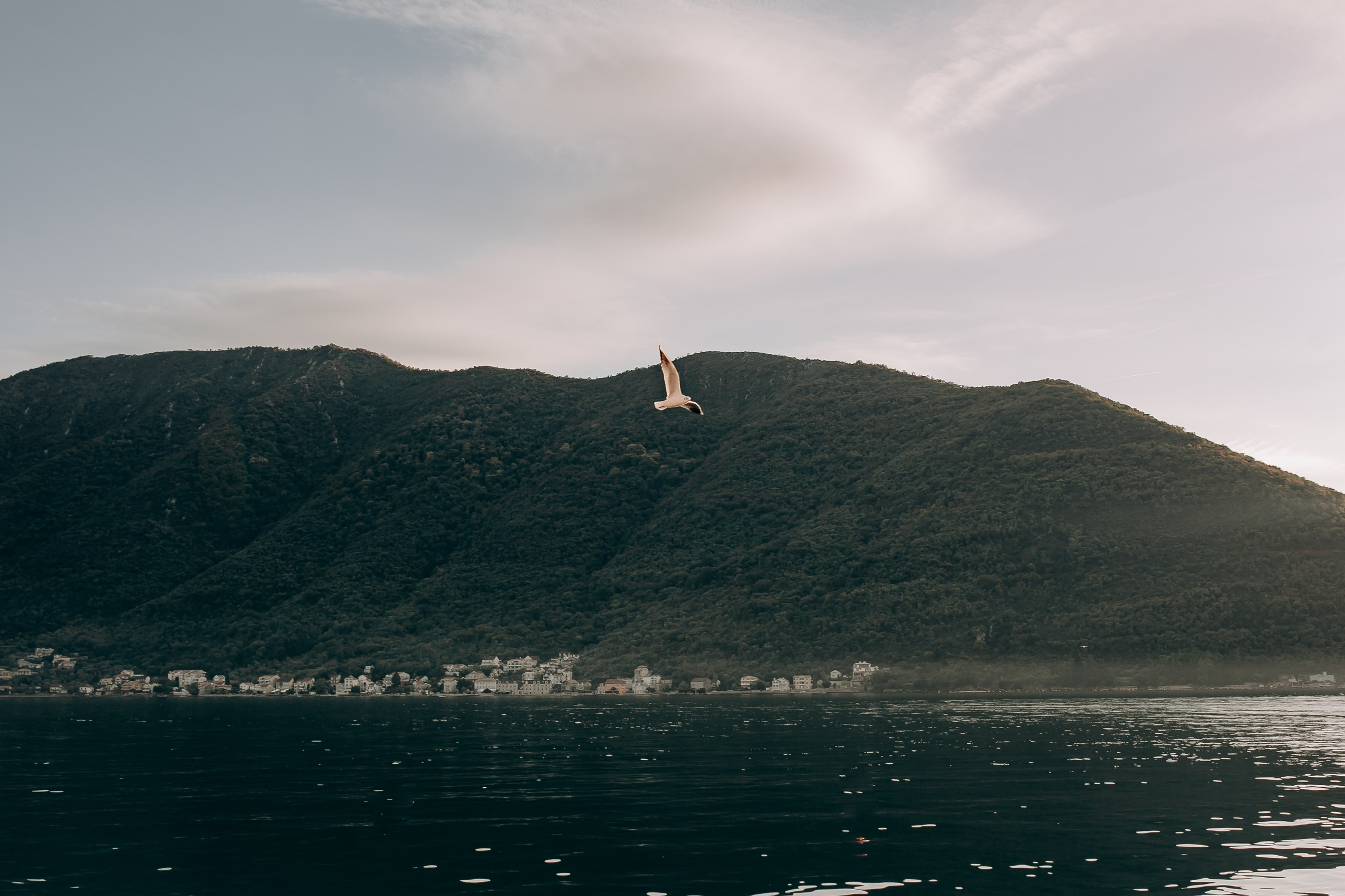 ПРОГУЛКА ПО ПЕРАСТУ. Family, Women & Couples Photographer in Budva, Kotor, Herceg Novi, Perast & Coastal Montenegro