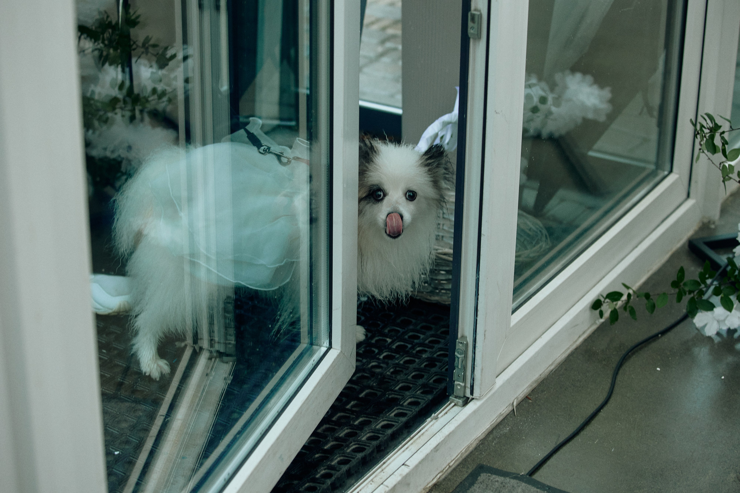 Rustam & Anastasia. Event агентство PAPRIKA в Екатеринбурге