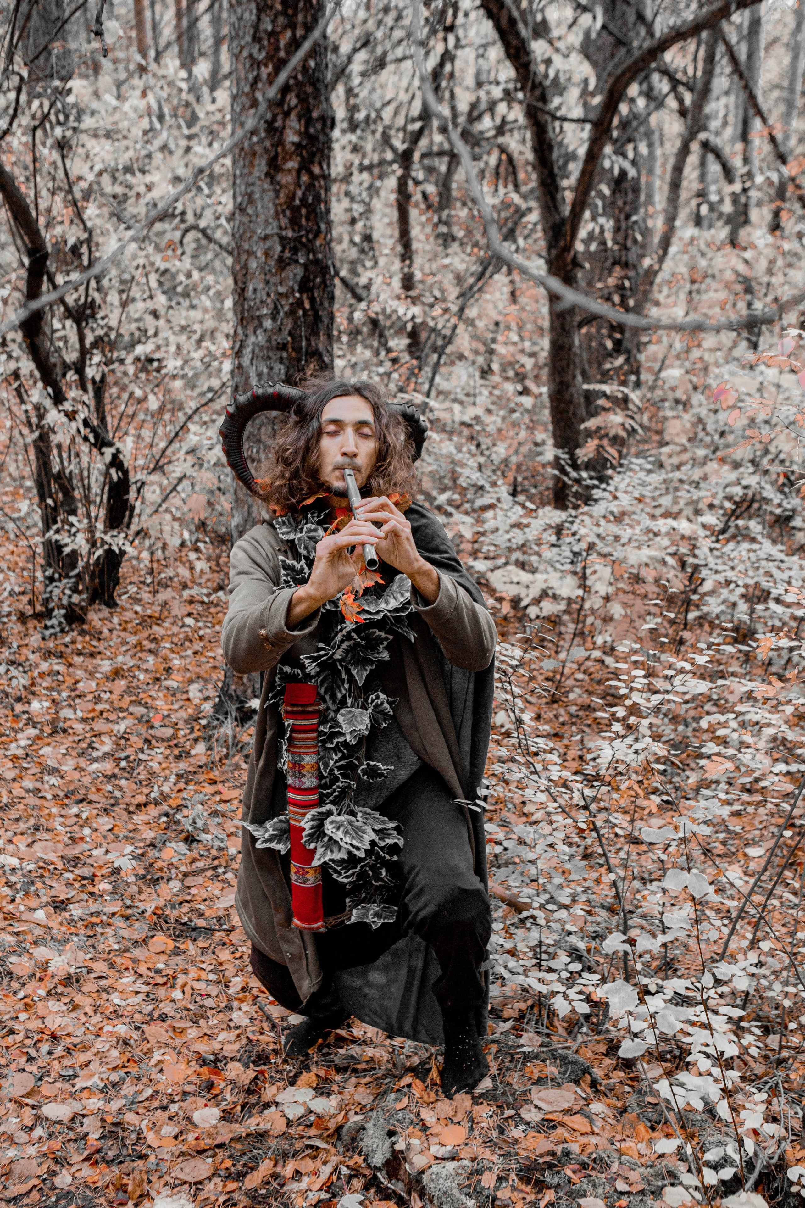 Волшебный лес. Фотограф Екатерина Голицына