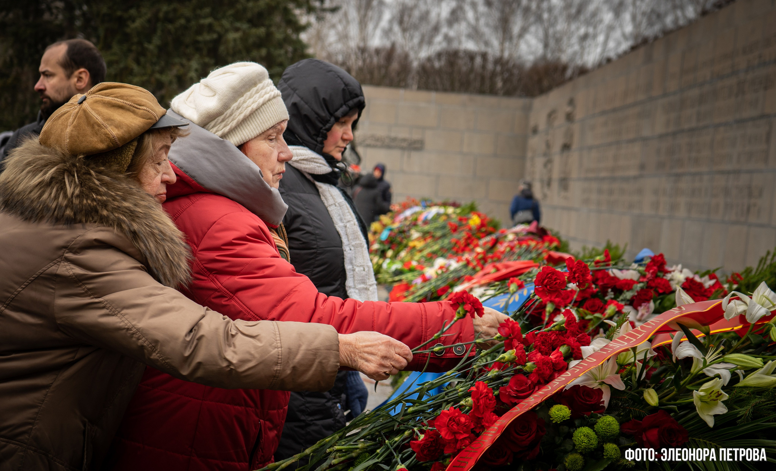 27 января. Видеограф, фотограф в Санкт-Петербурге Элеонора Петрова