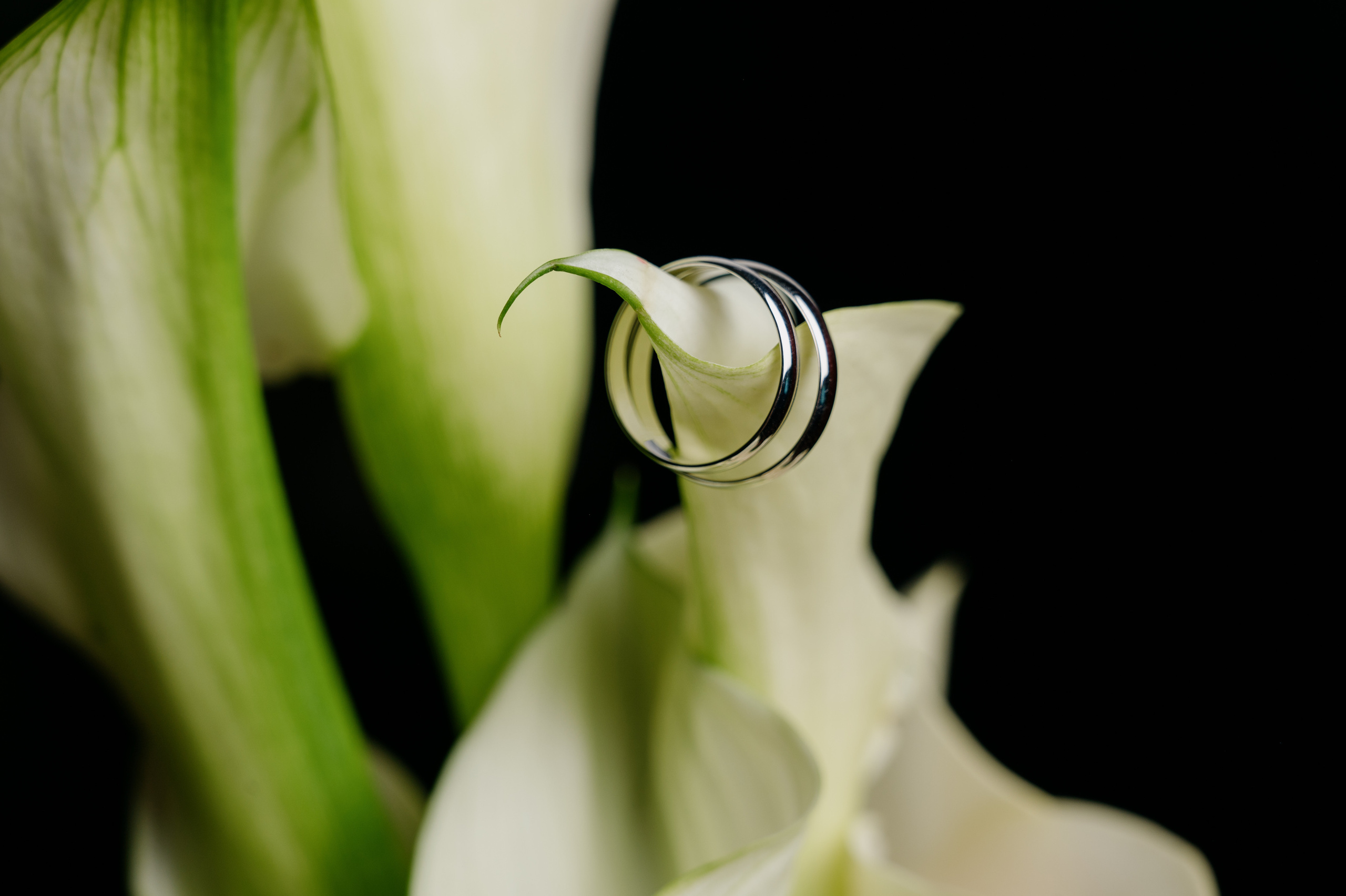 Свадьбы. Фотограф в Астрахани Богдан Ковенькин