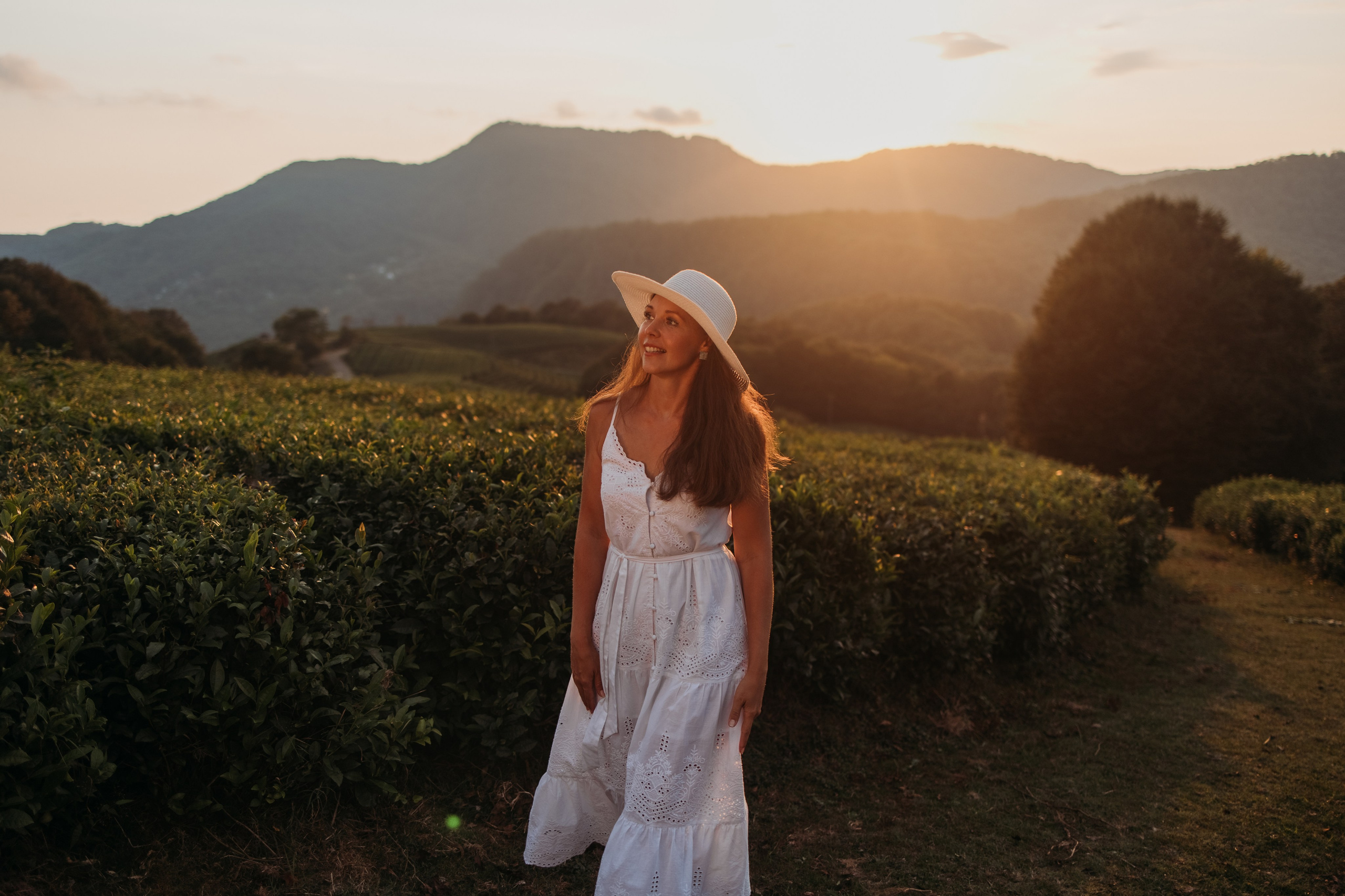 Чайные плантации мацеста. Фотограф Сочи Татьяна Зорина