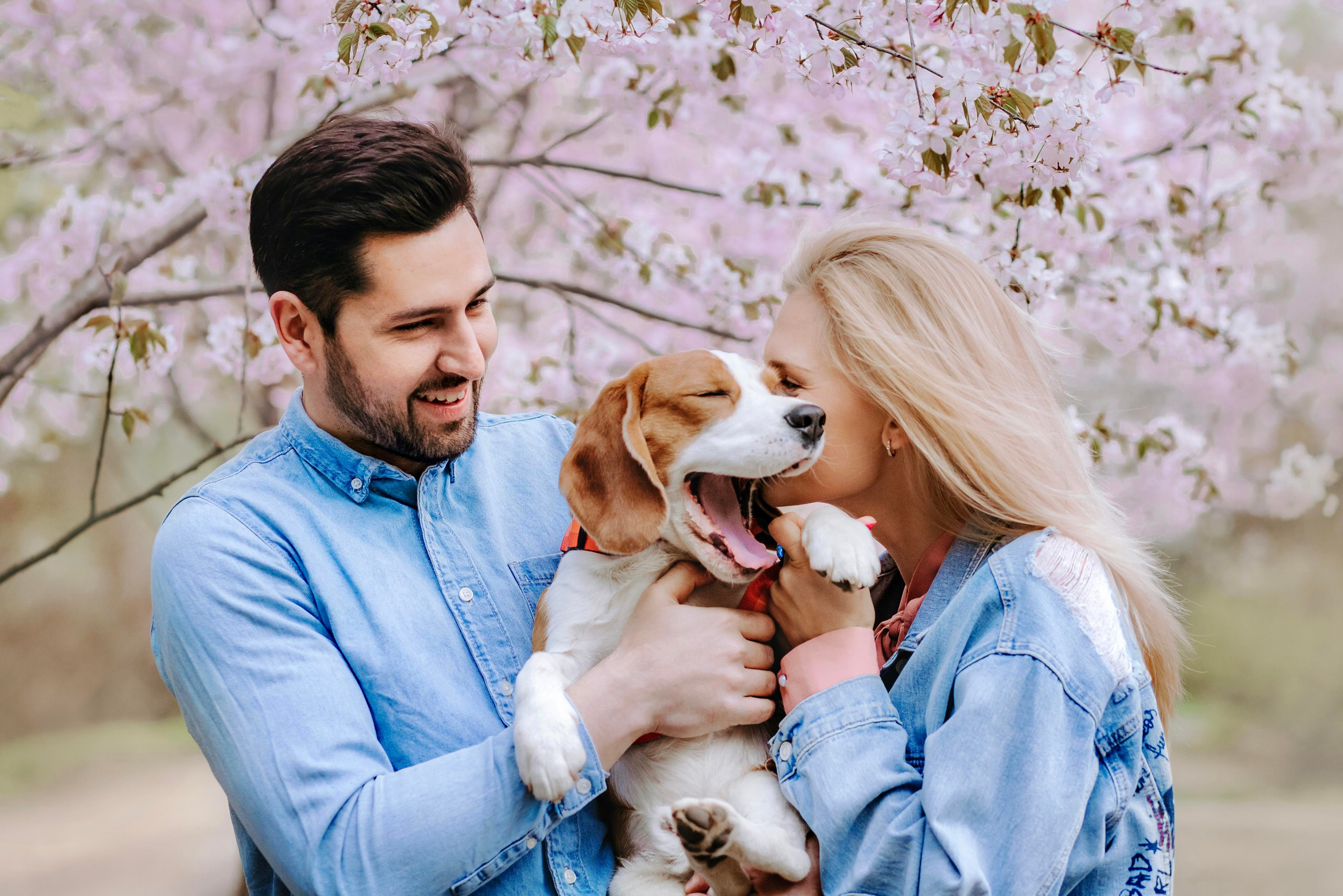Весенняя фотосессия с собакой в цветущей сакуре 