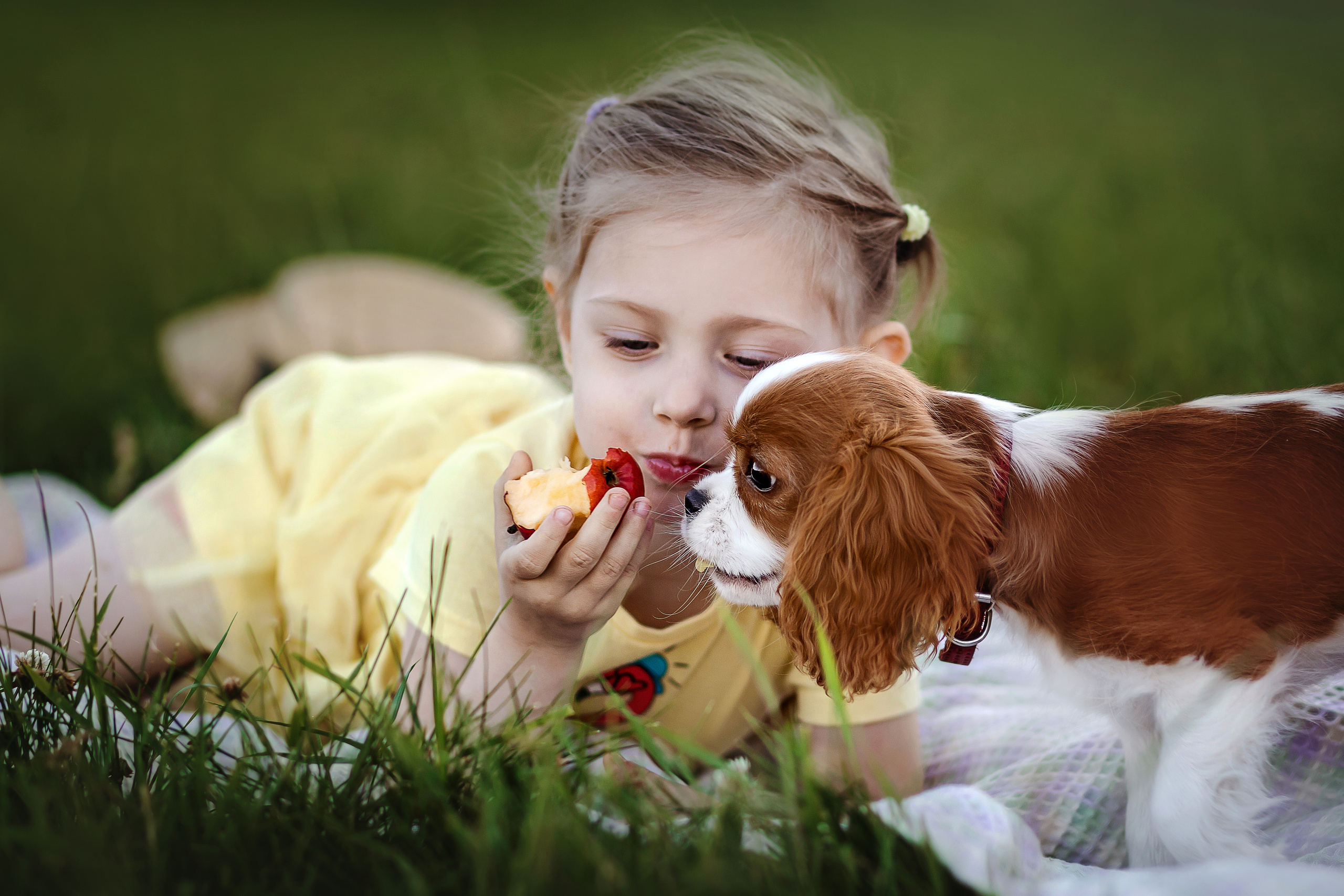 ребенок и собака