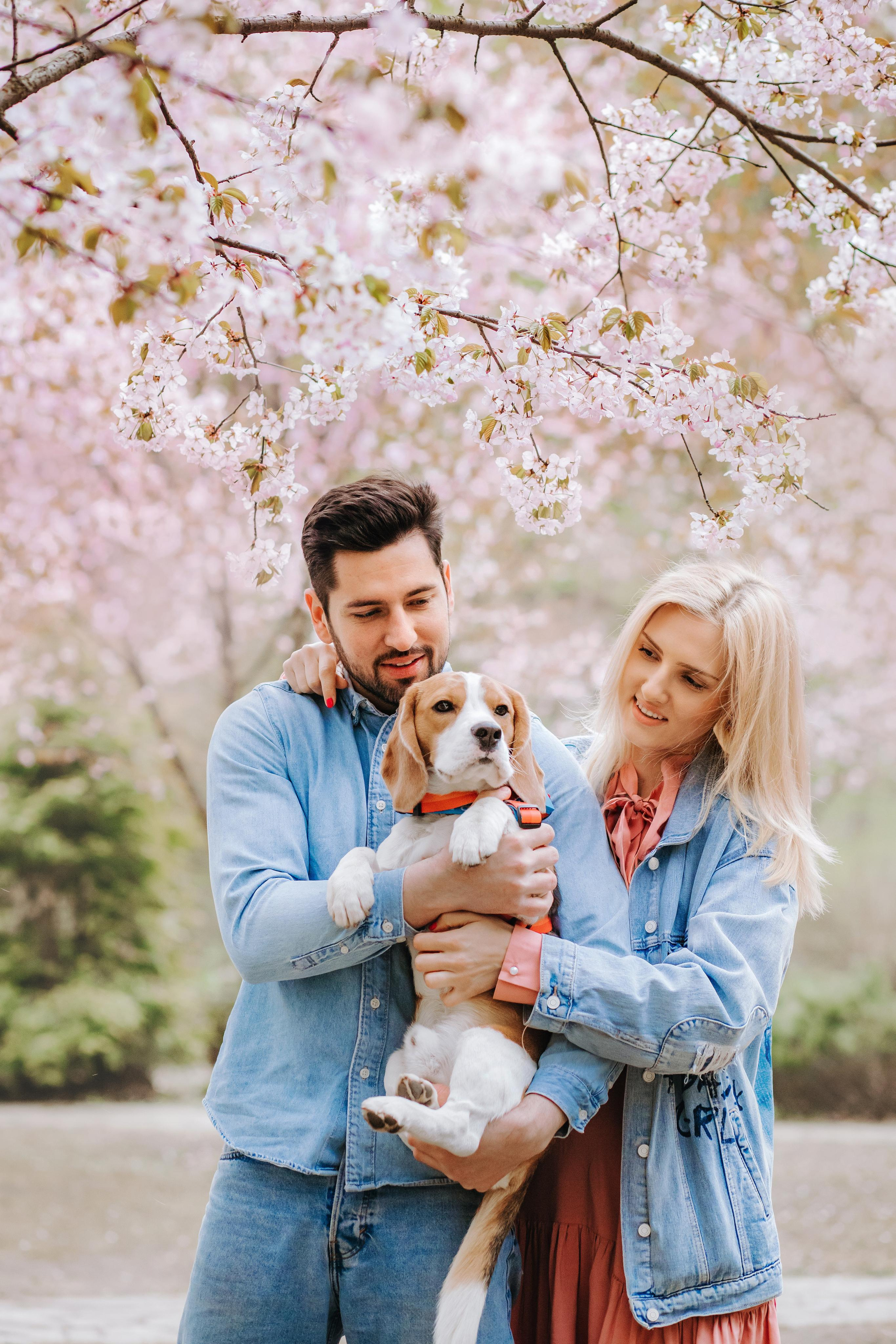 Фотосессия с собакой в цветущей сакуре 