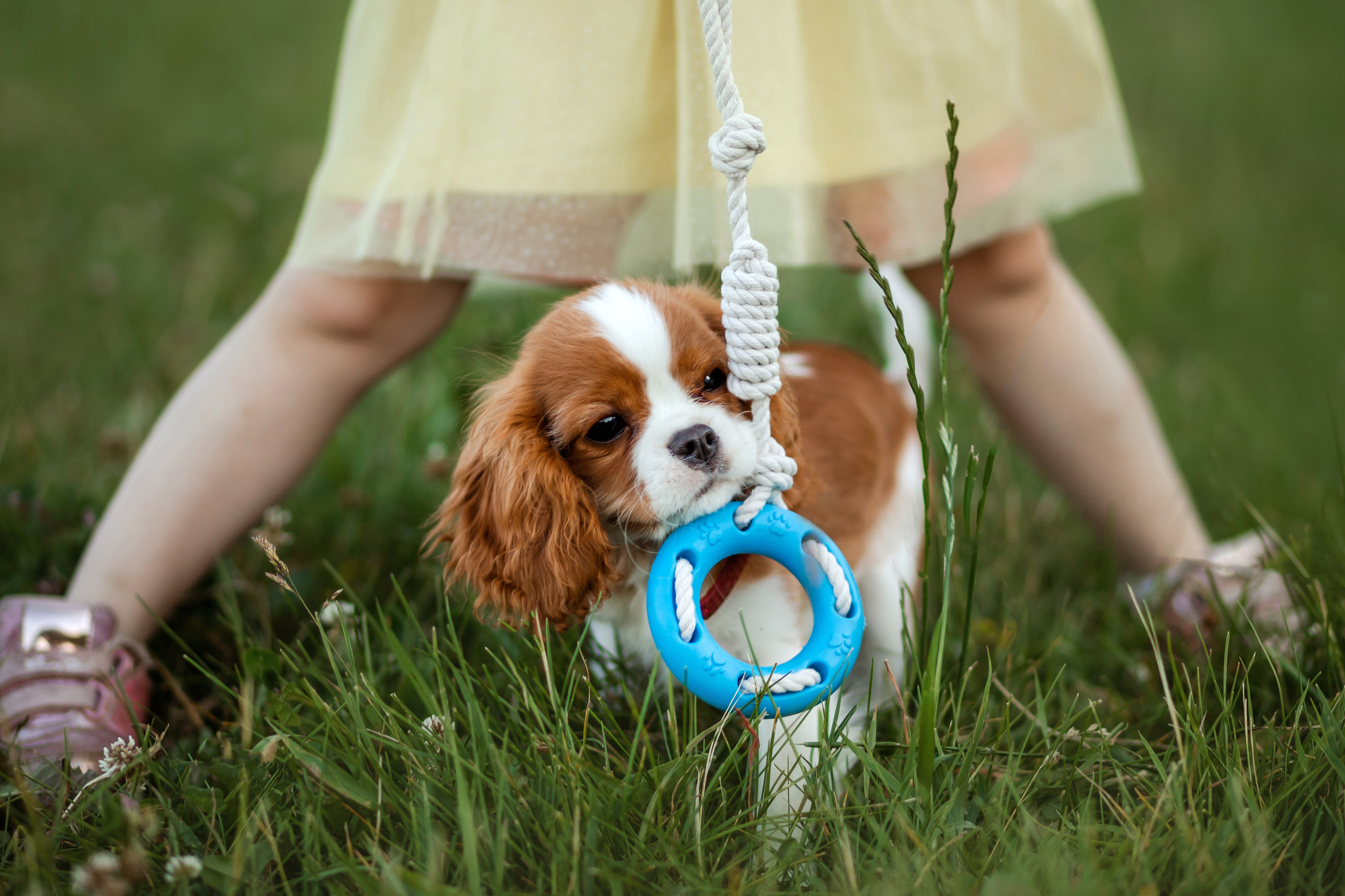фотосессия с собакой в бутово