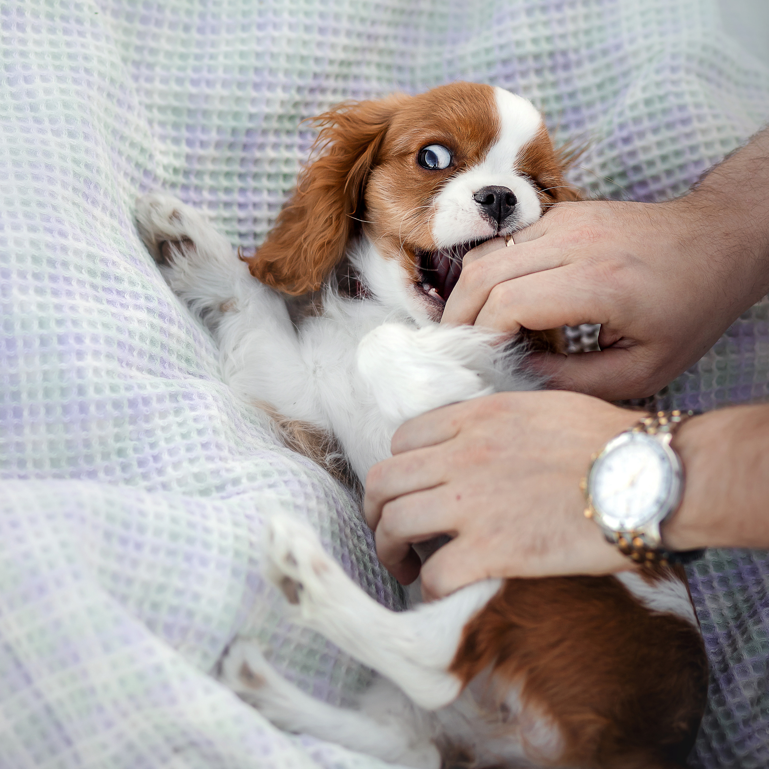 семейная фотосессия в бутово