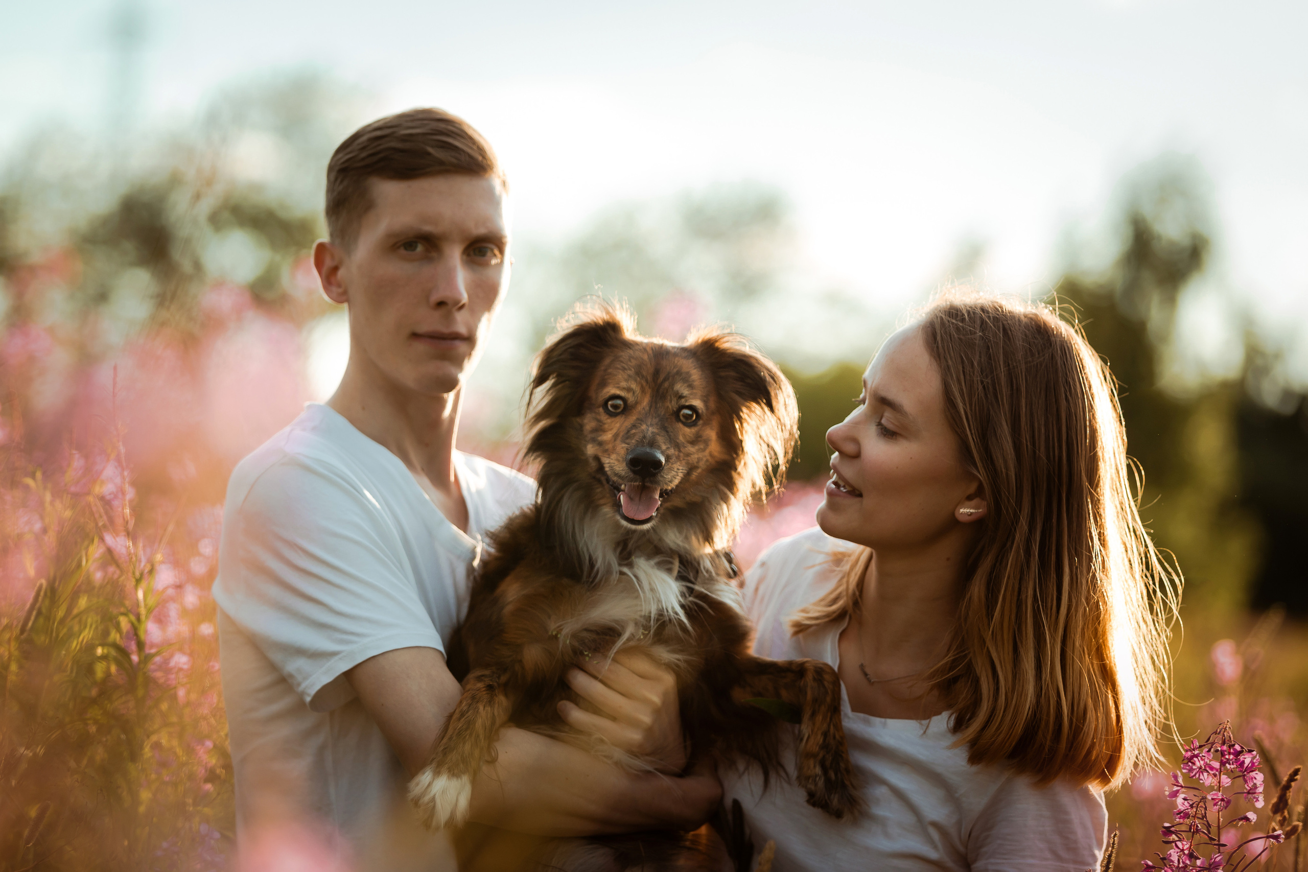 фотосессия с собакой в бутово на закате