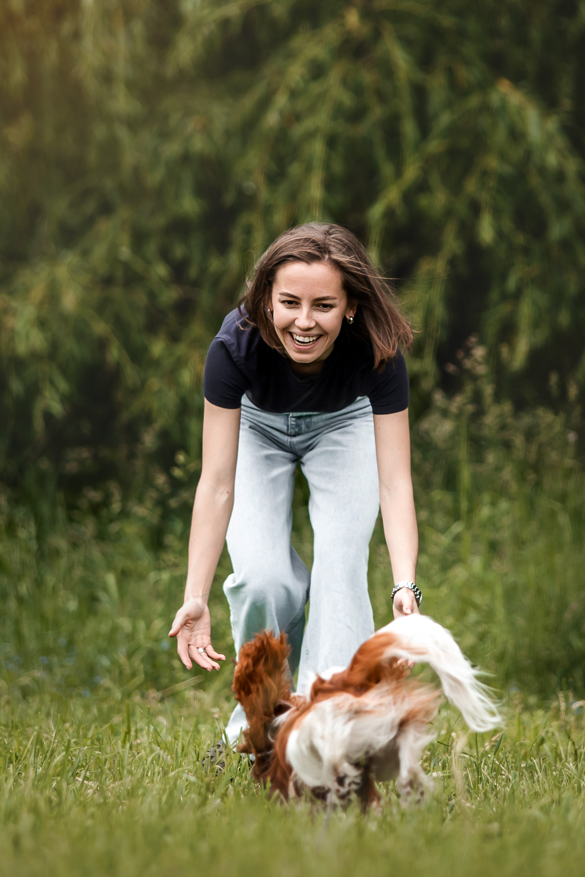 спаниель на природе