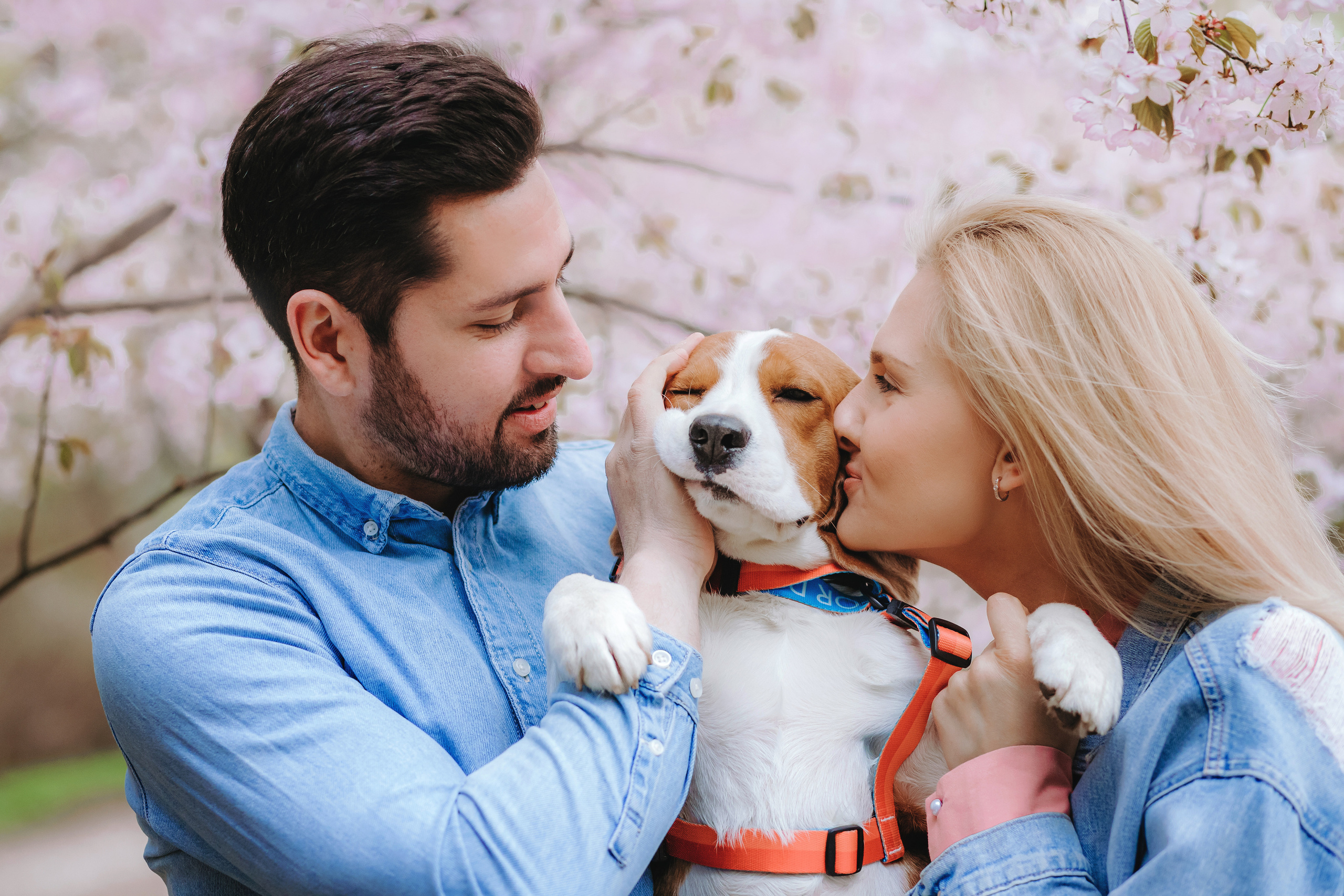 Весенняя фотосессия с собакой в цветущей сакуре 