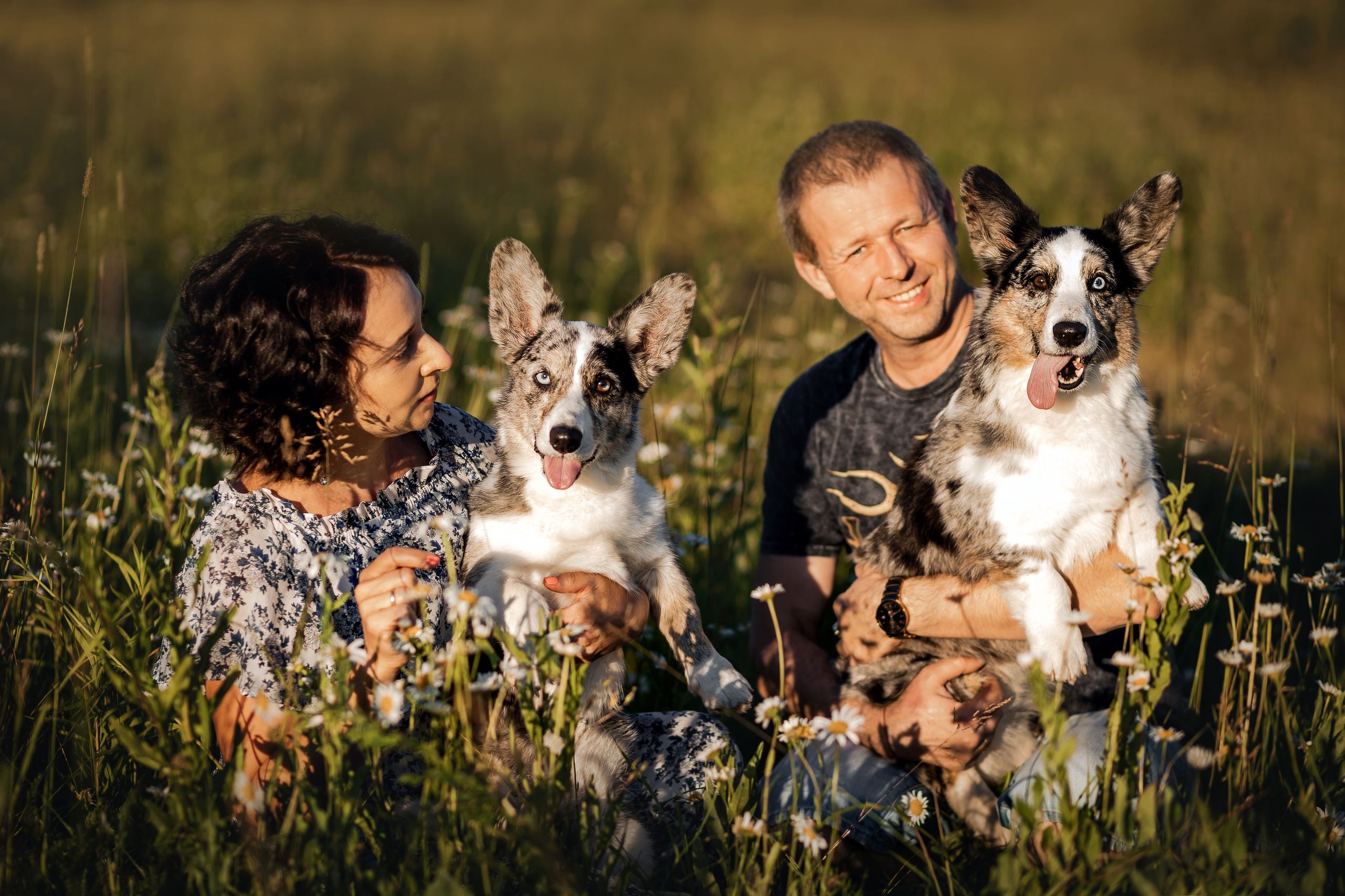 фотограф собак москва