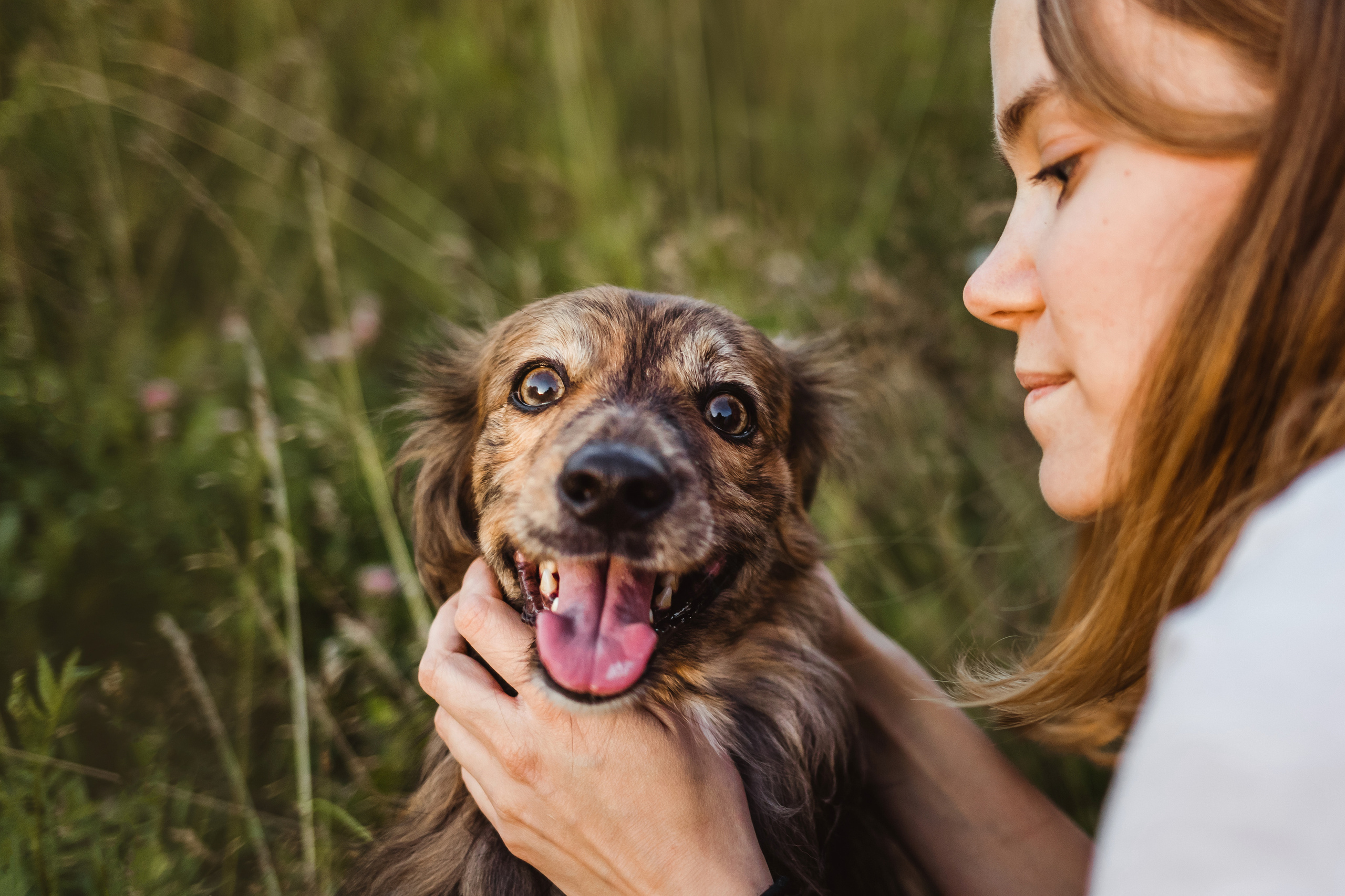 фотосессия с собакой в бутово 