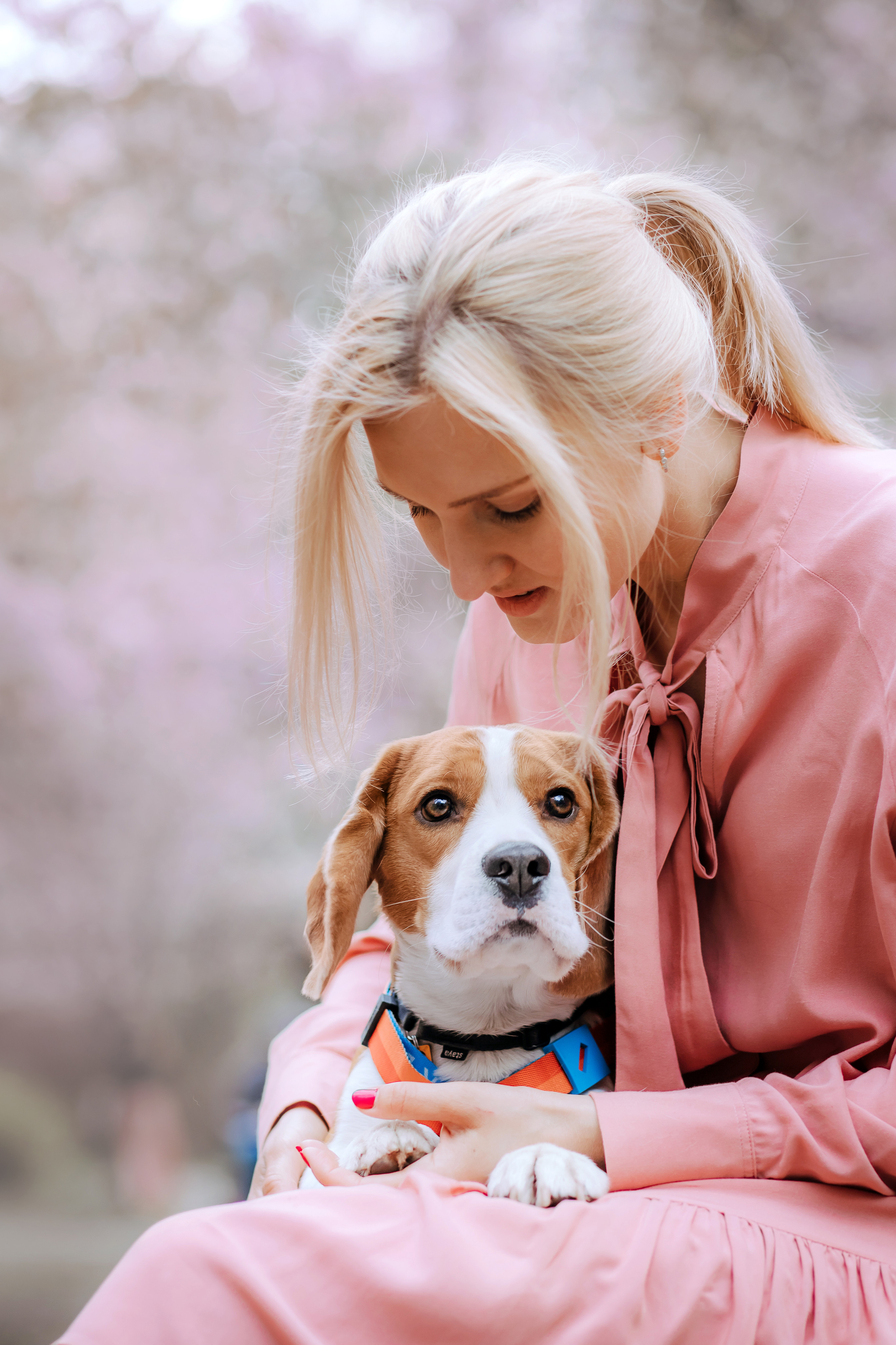 Фотосессия с собакой в бирюлевском дендропарке 