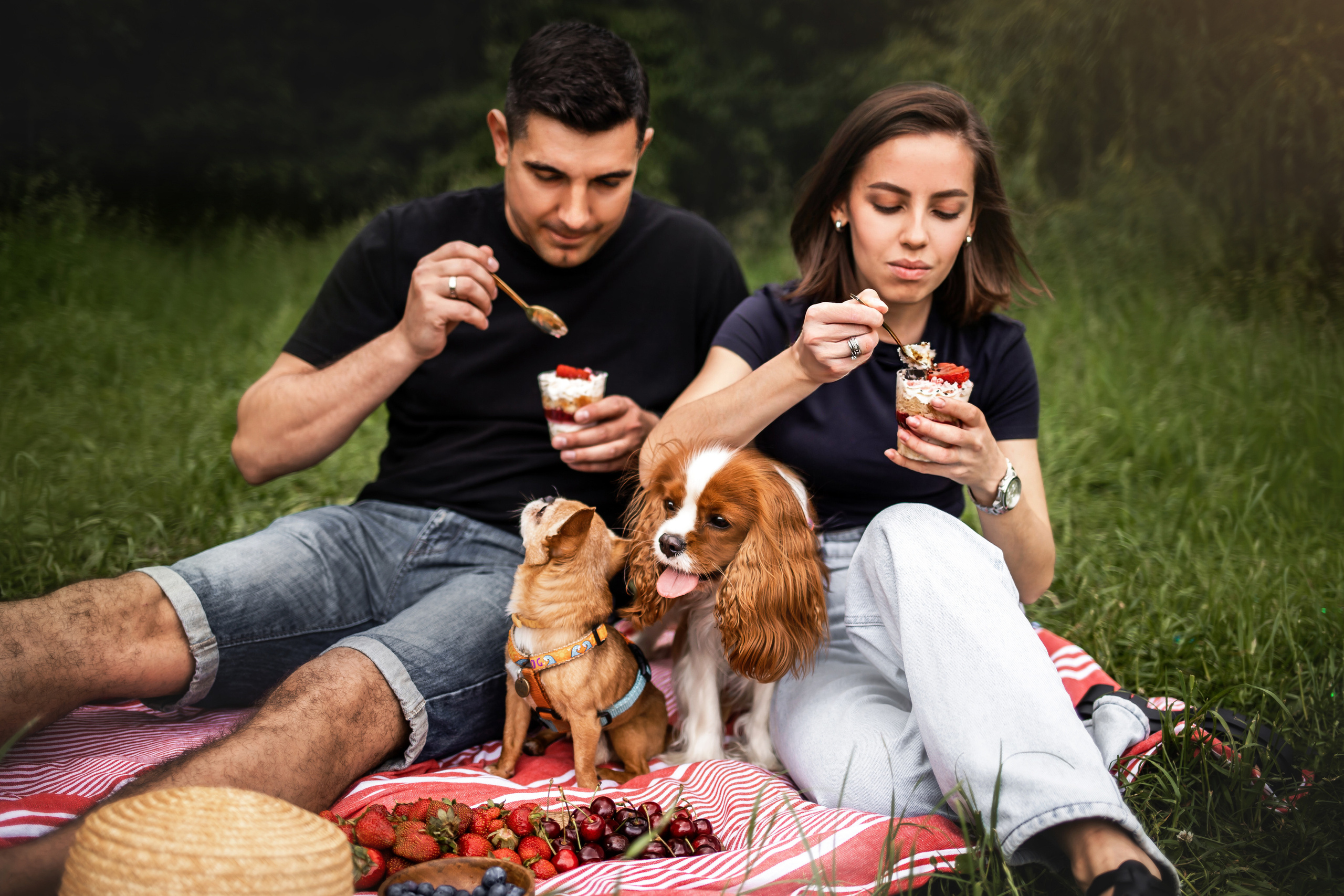 фотопикник с собакой