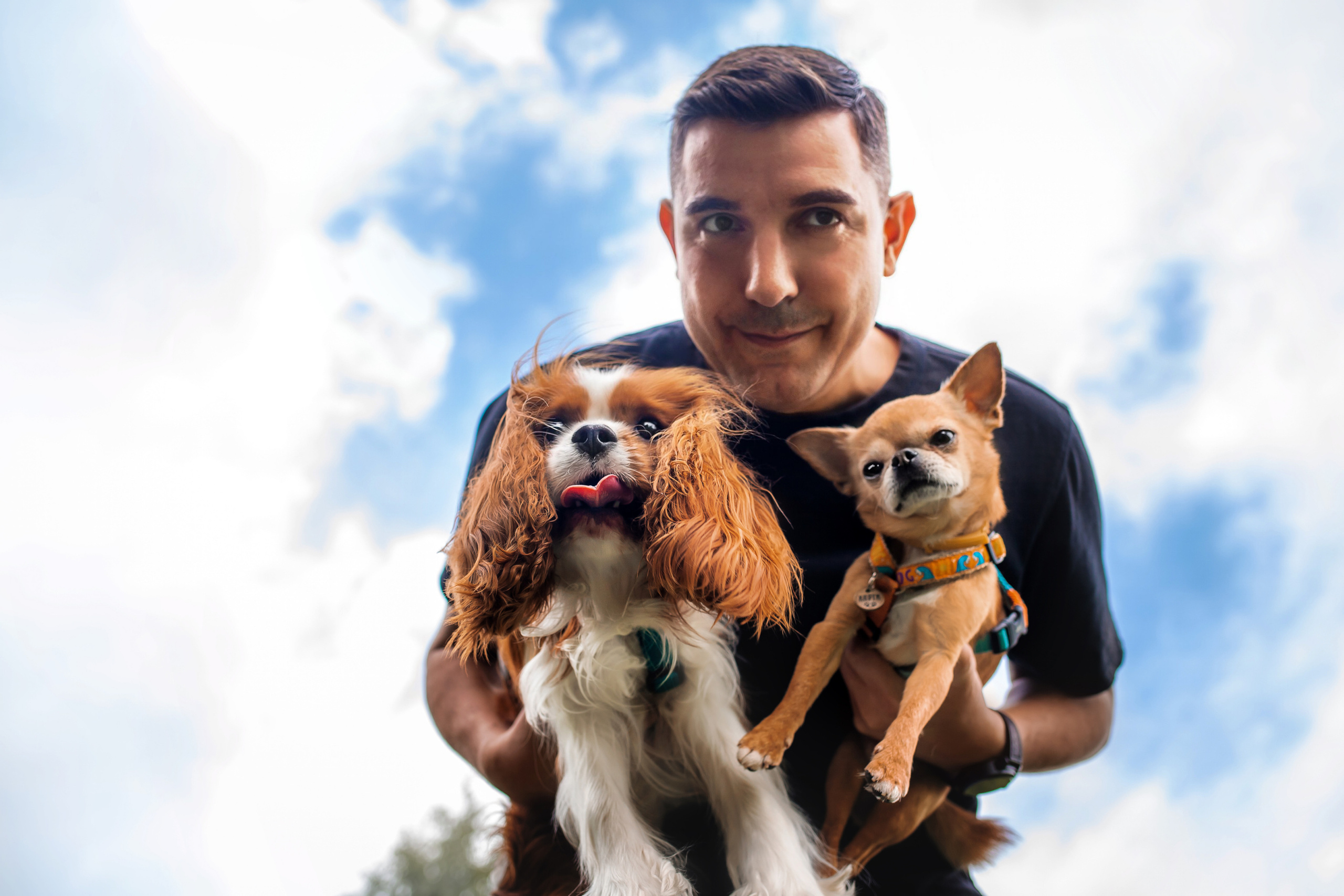 фотосессия с собакой