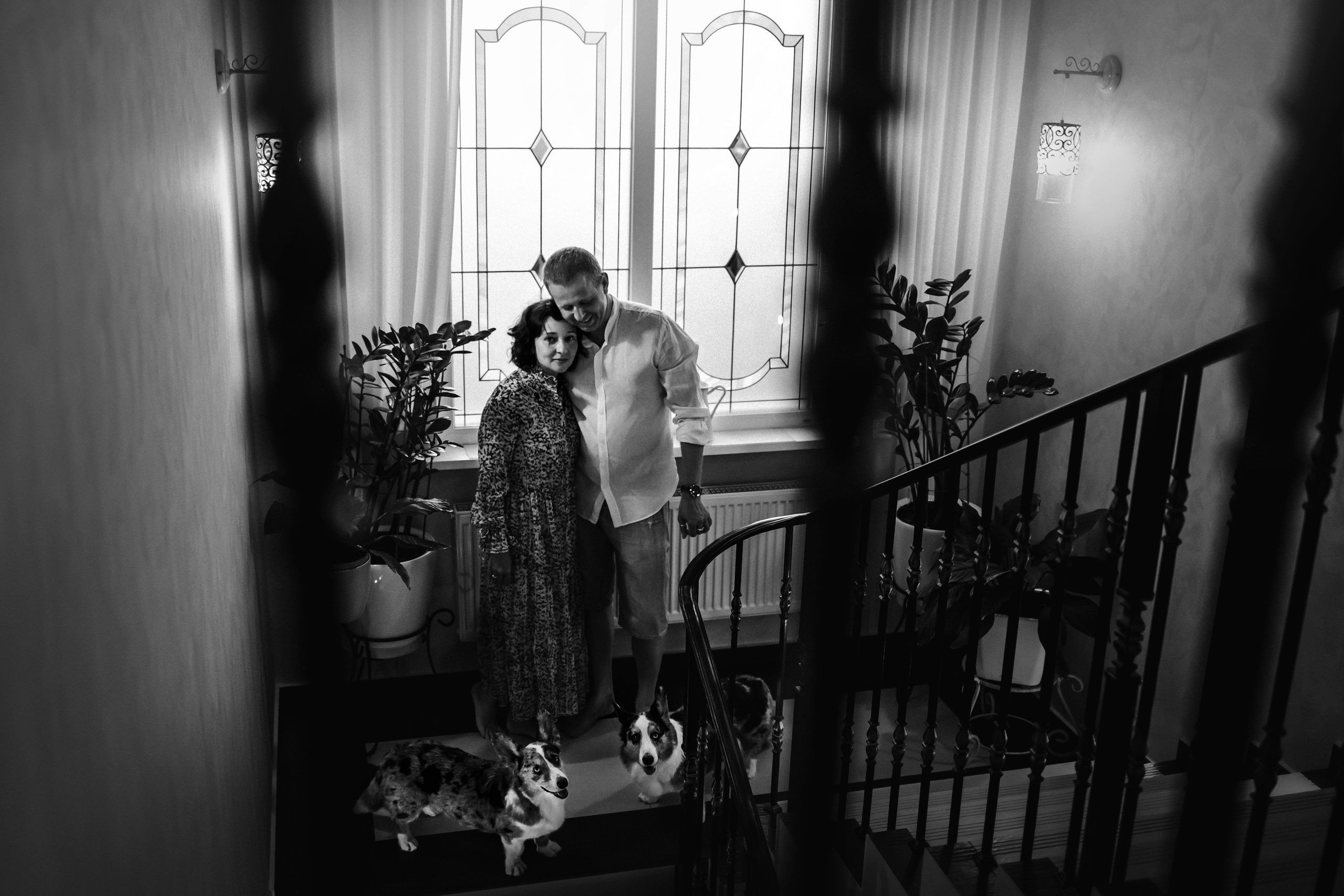 домашняя фотосессия с собакой