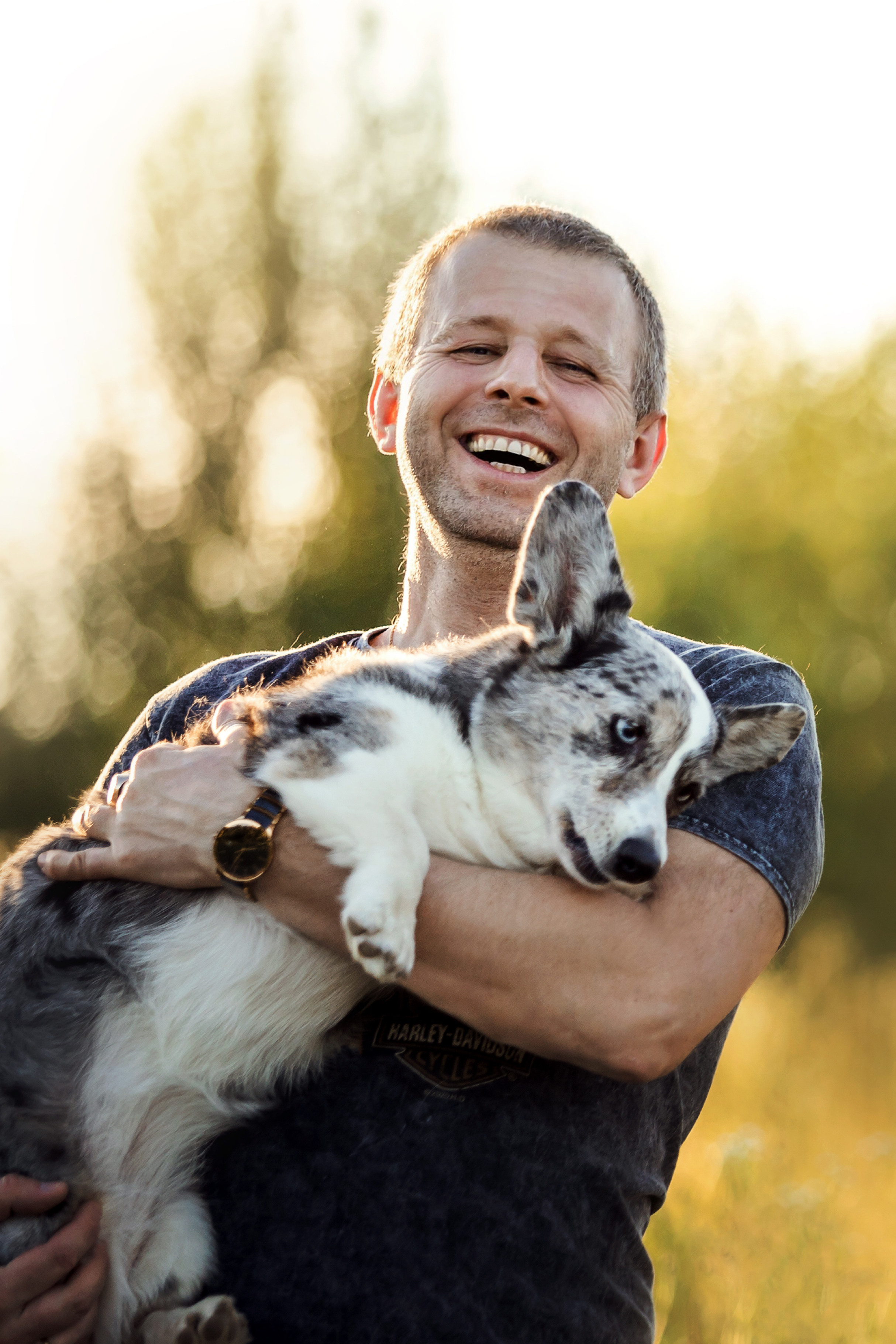 фотосессия собаки