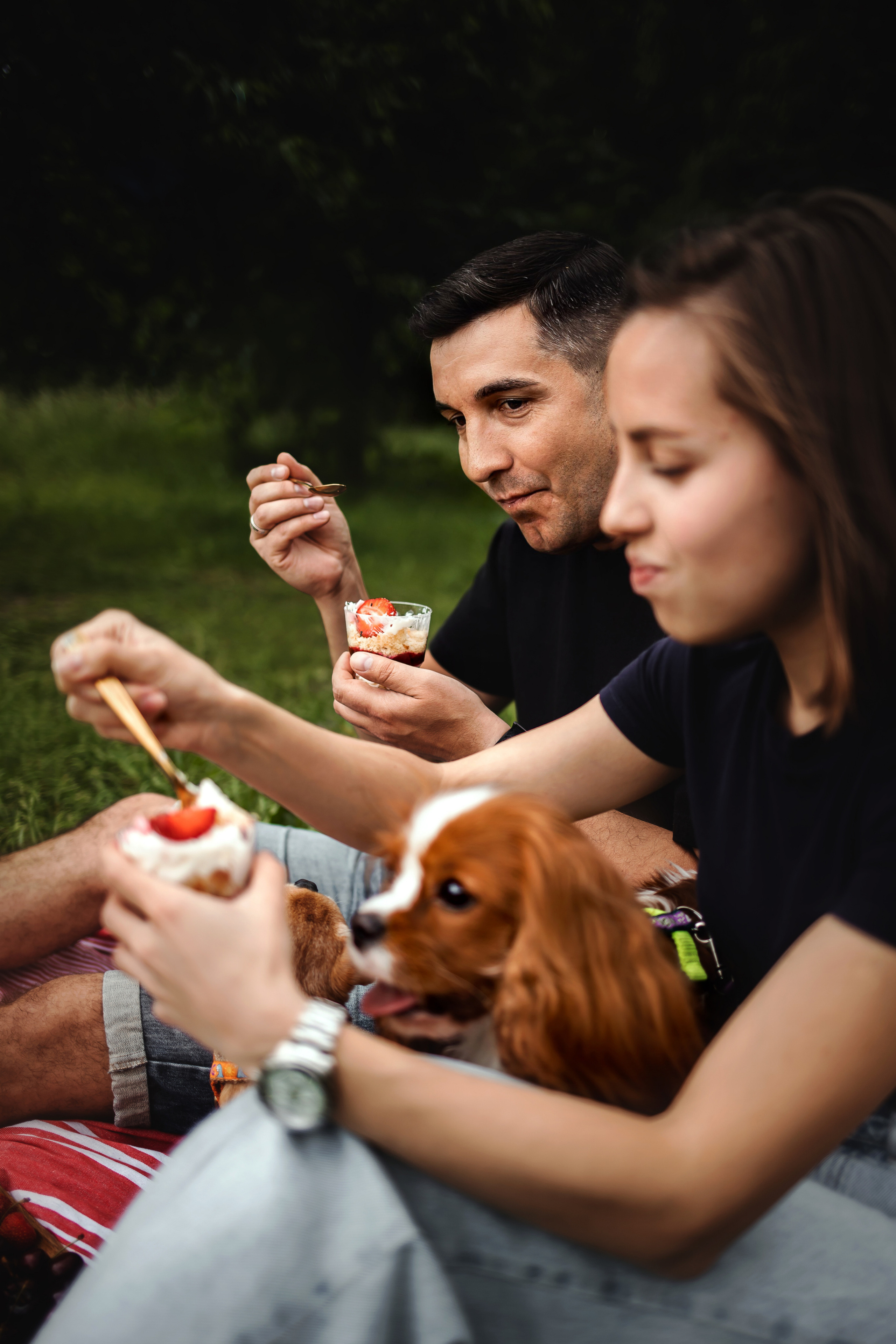 фотопикник с собакой