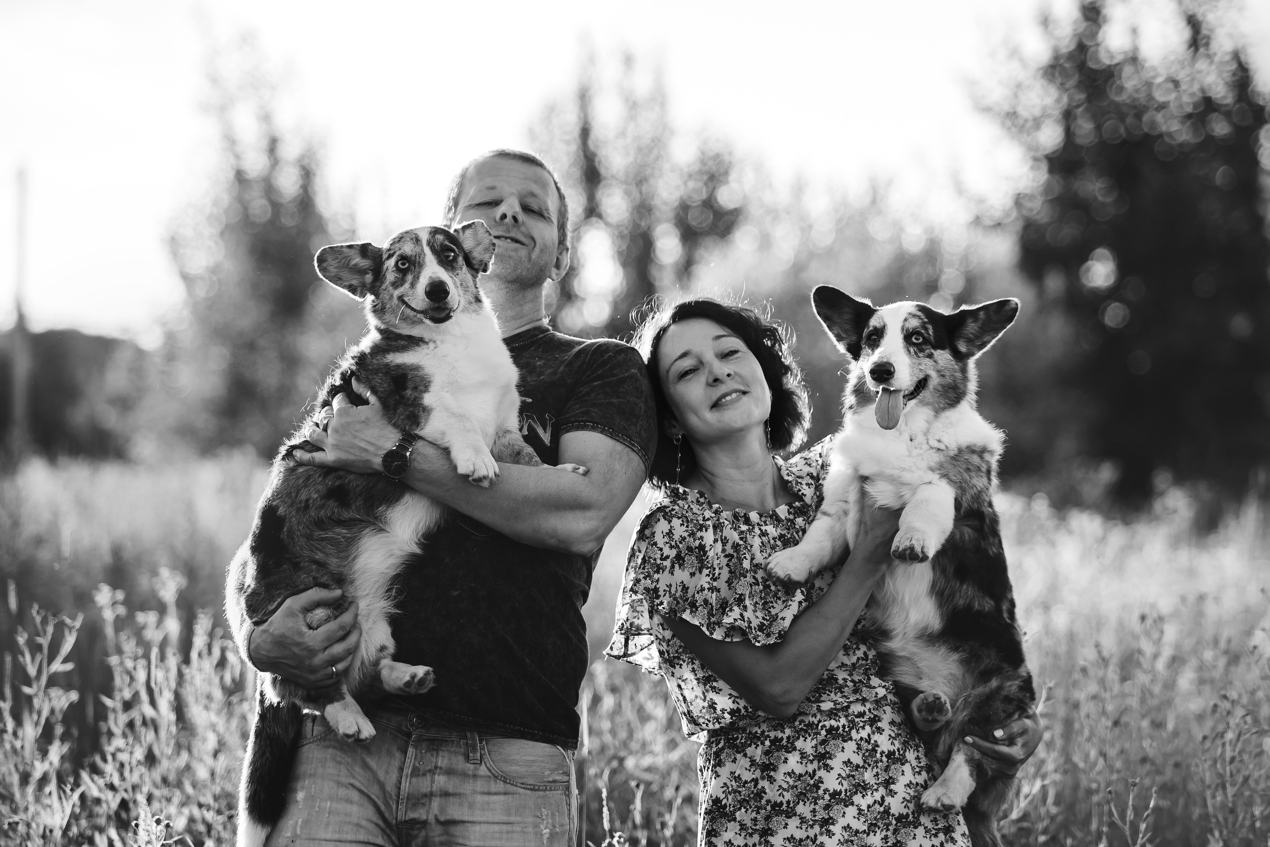 фотосессия собаки