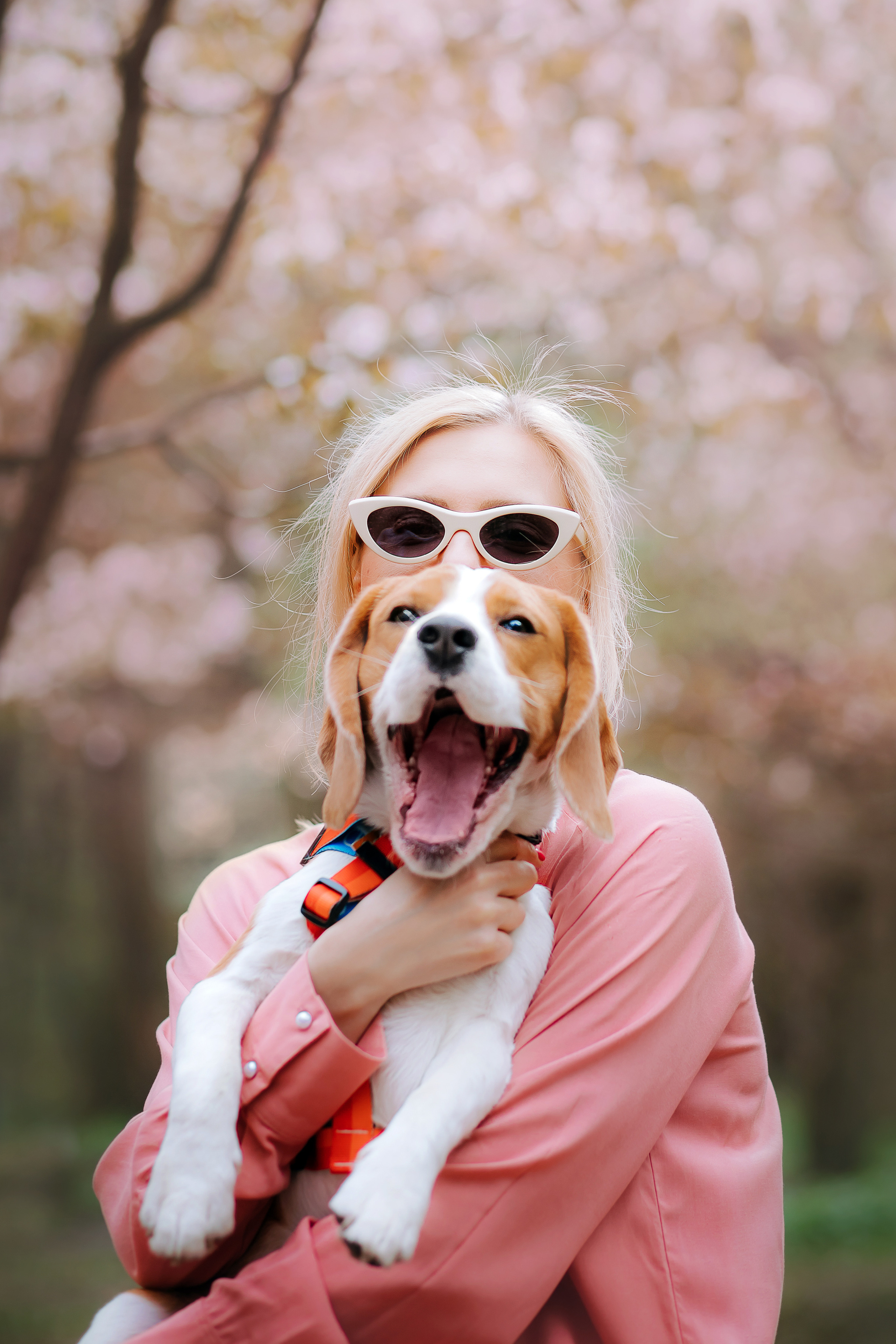 Фотопрогулка с собакой в бирюлевском дендропарке 