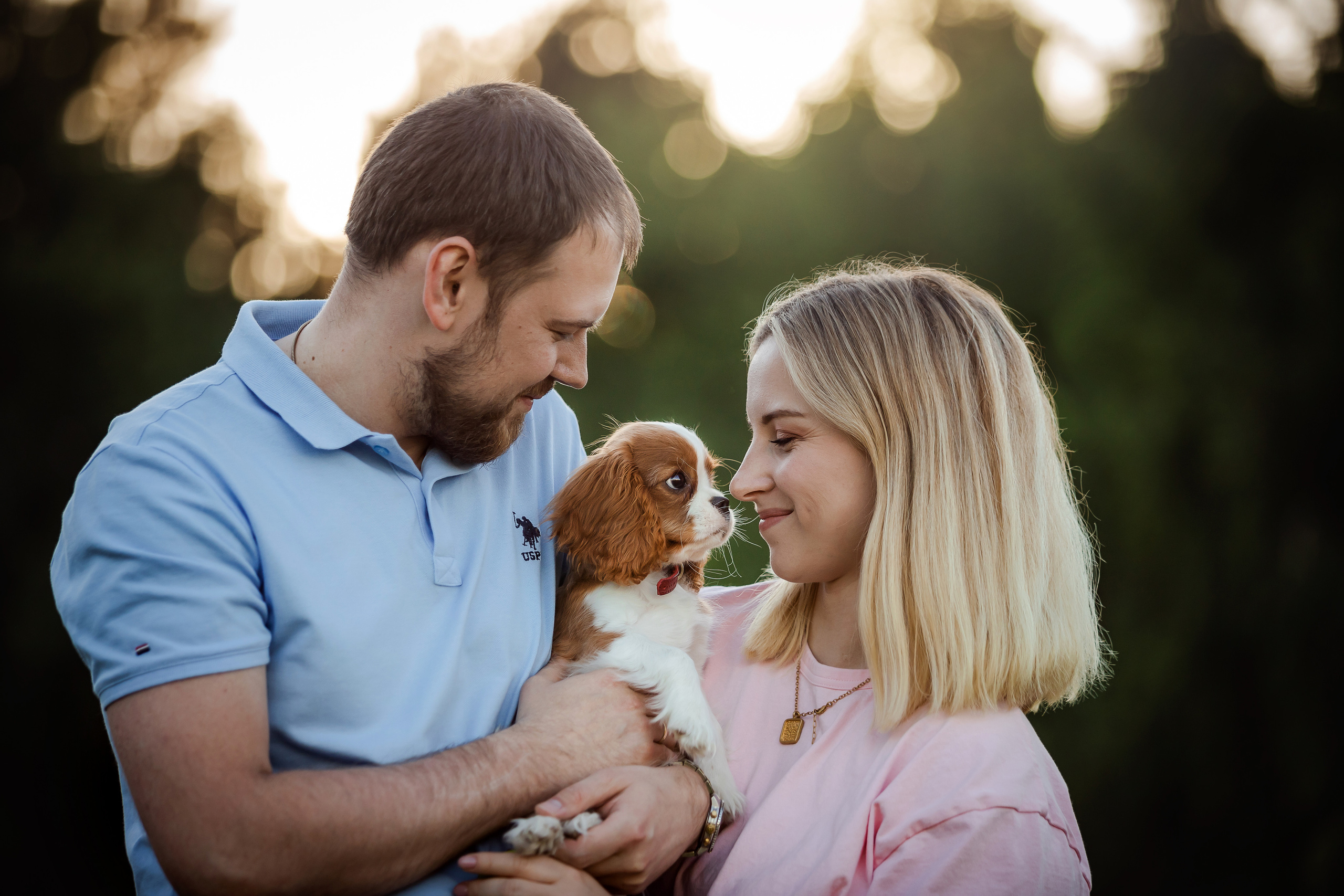 фотосессия спаниеля в бутово 