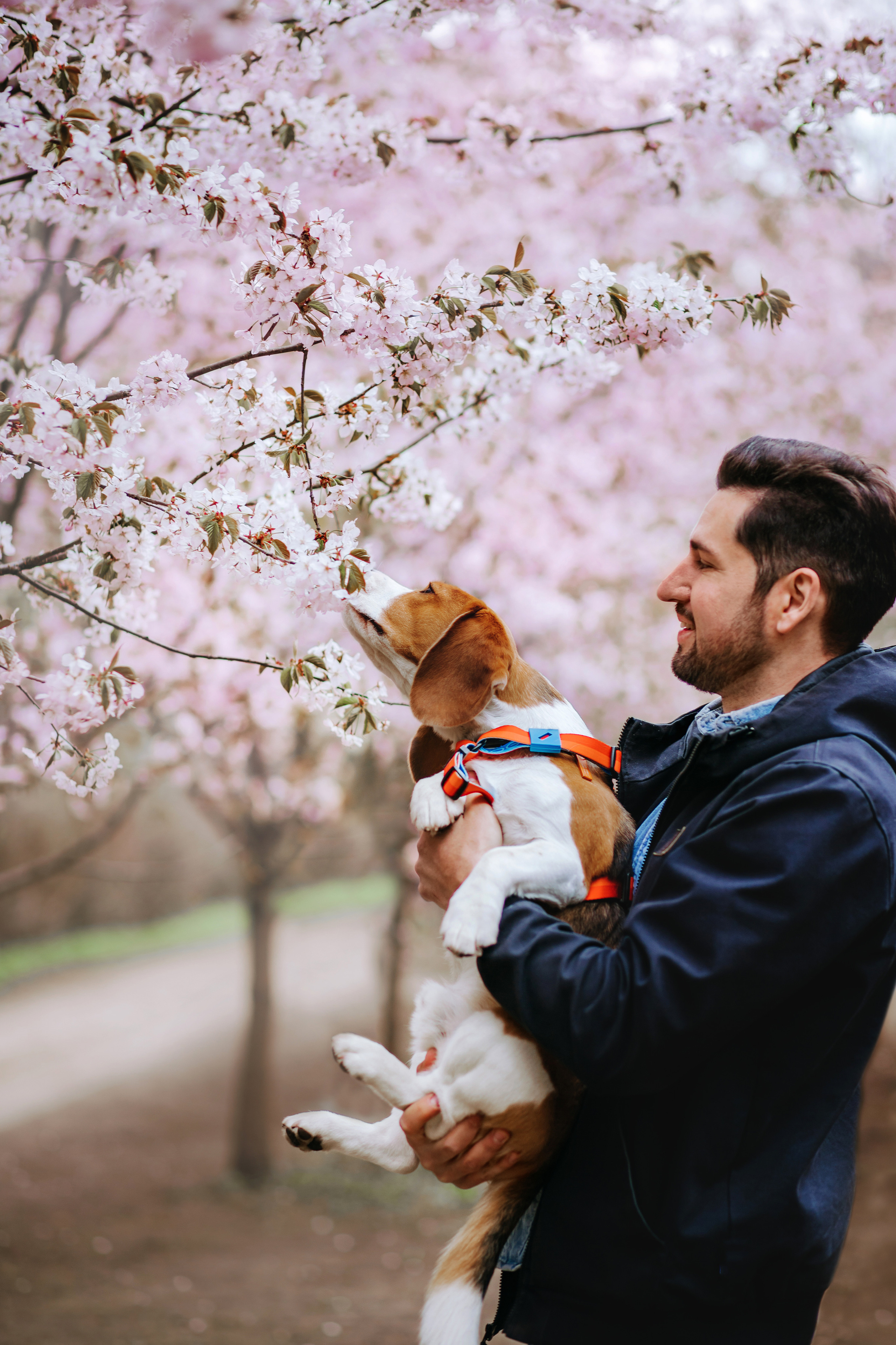 Фотосессия в бирюлевском дендропарке 