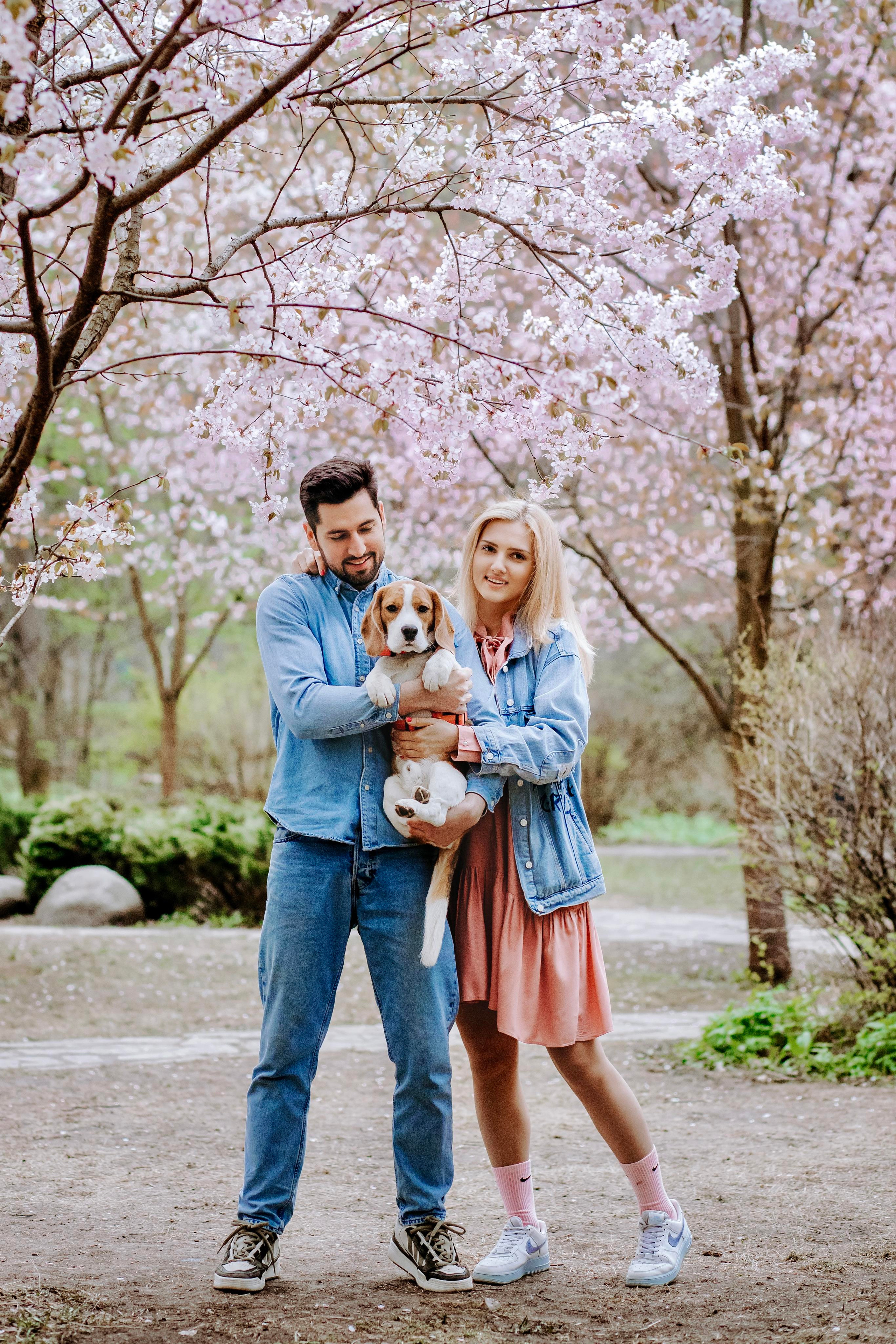 Фотосессия с собакой в цветущей сакуре 