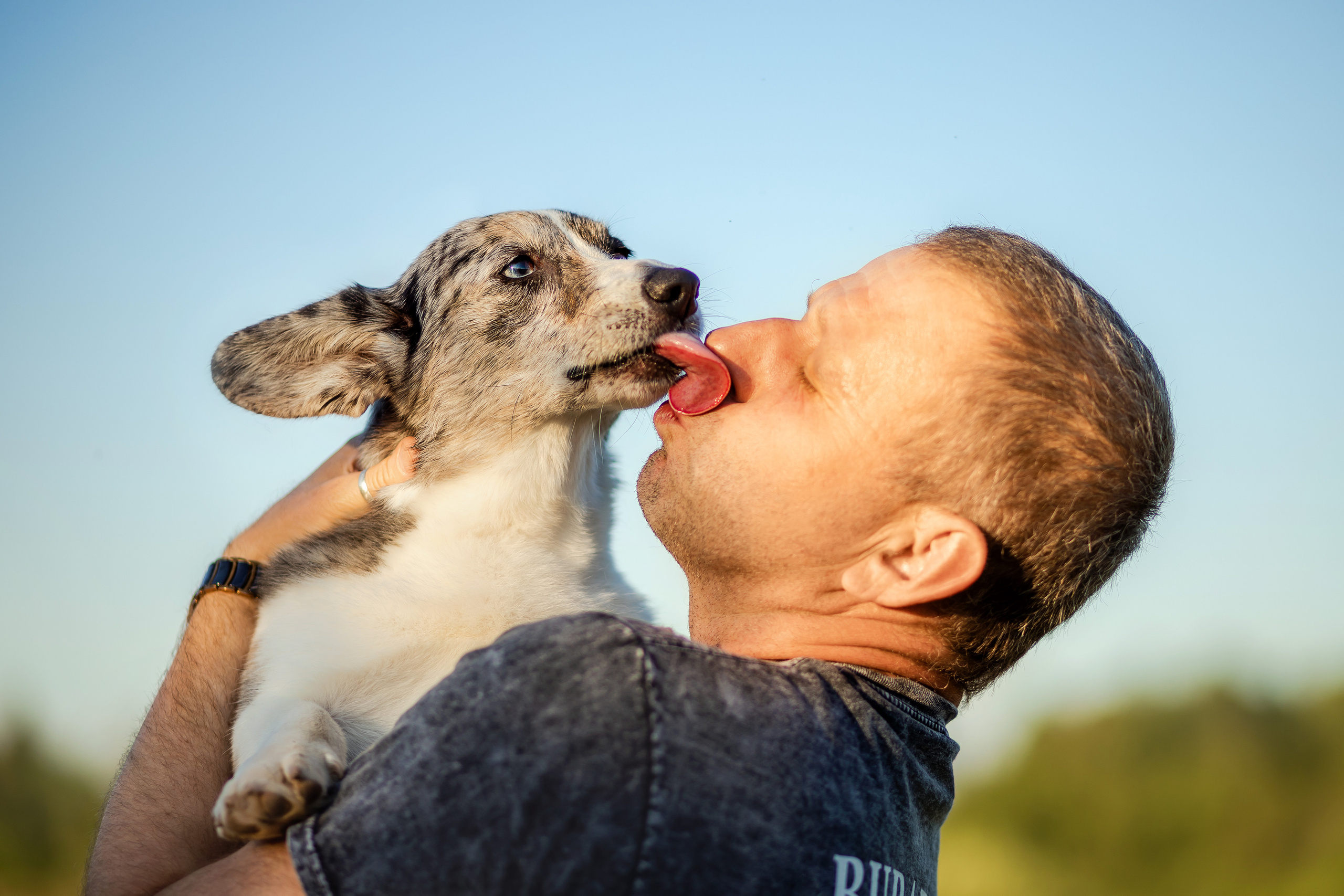 семейная фотосессия с собакой