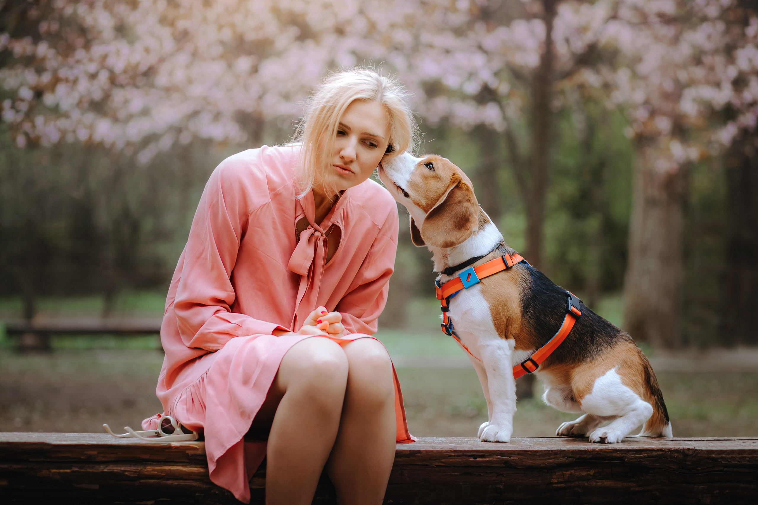 Фотопрогулка с собакой в бирюлевском дендропарке 