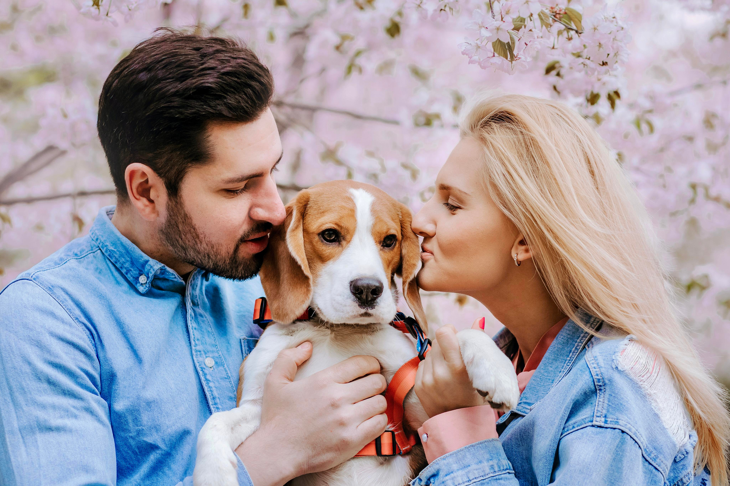 Весенняя фотосессия с собакой в цветущей сакуре 