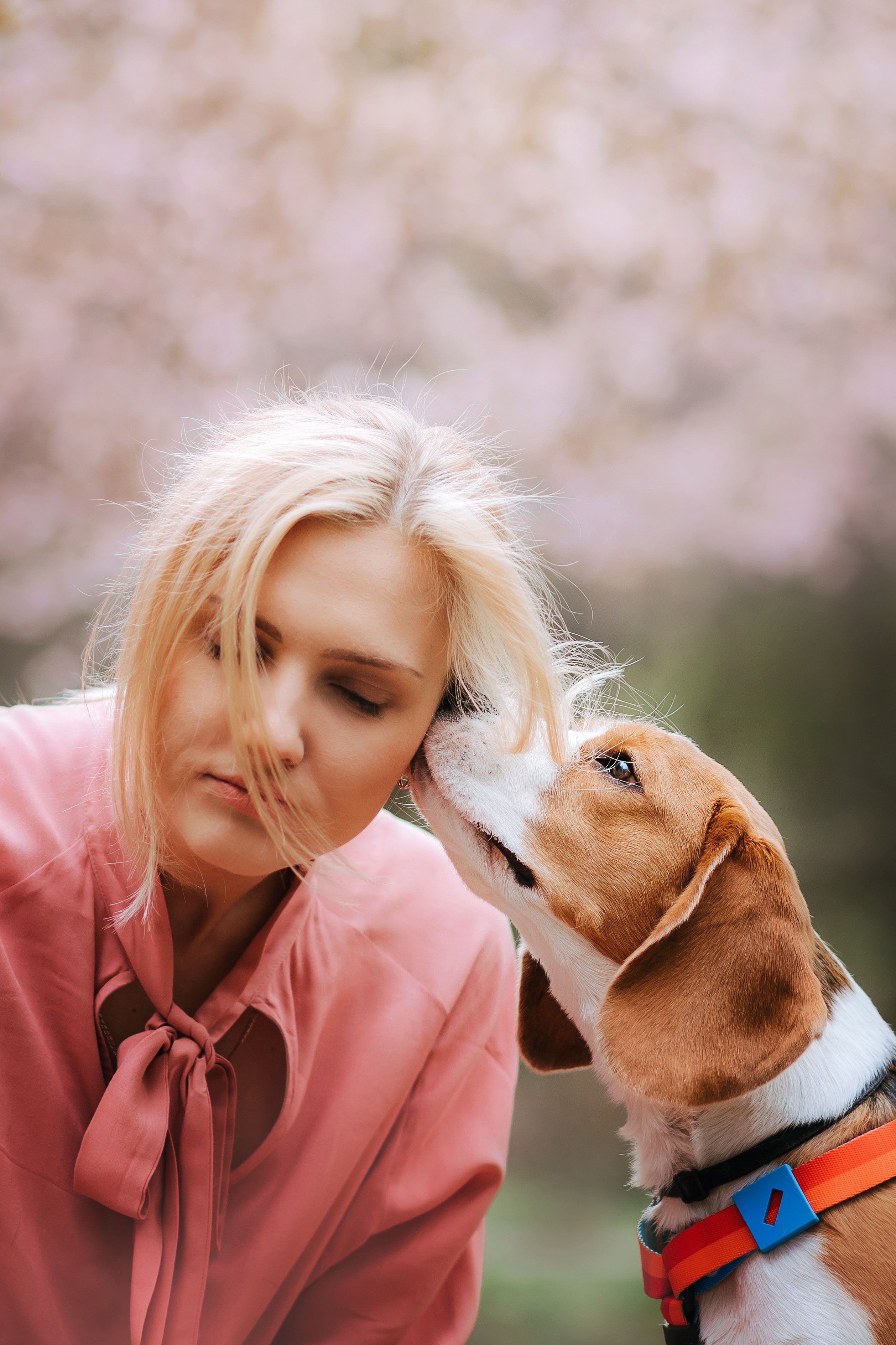 Фотопрогулка с собакой в бирюлевском дендропарке 