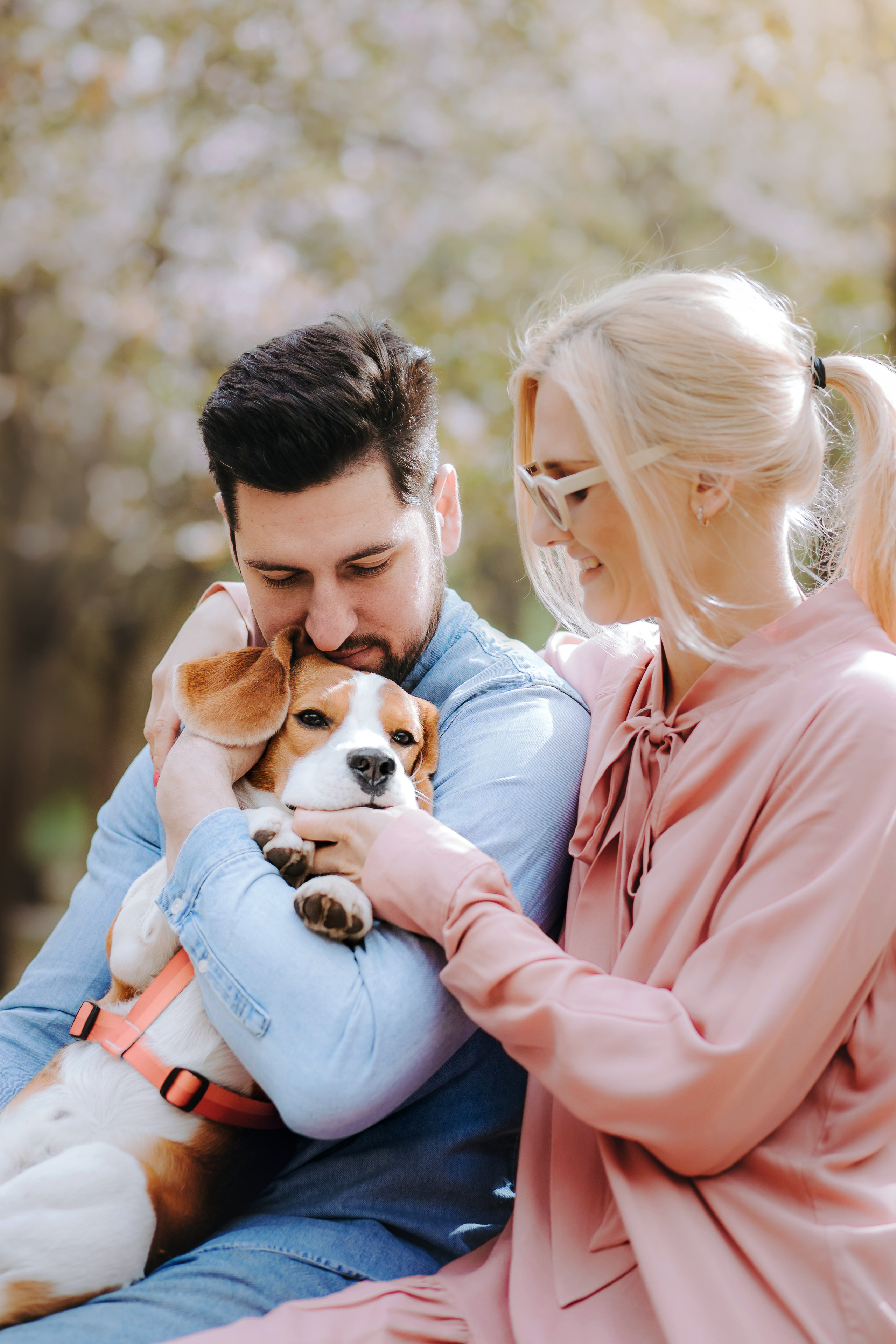 Фотопрогулка с собакой в бирюлевском дендропарке 