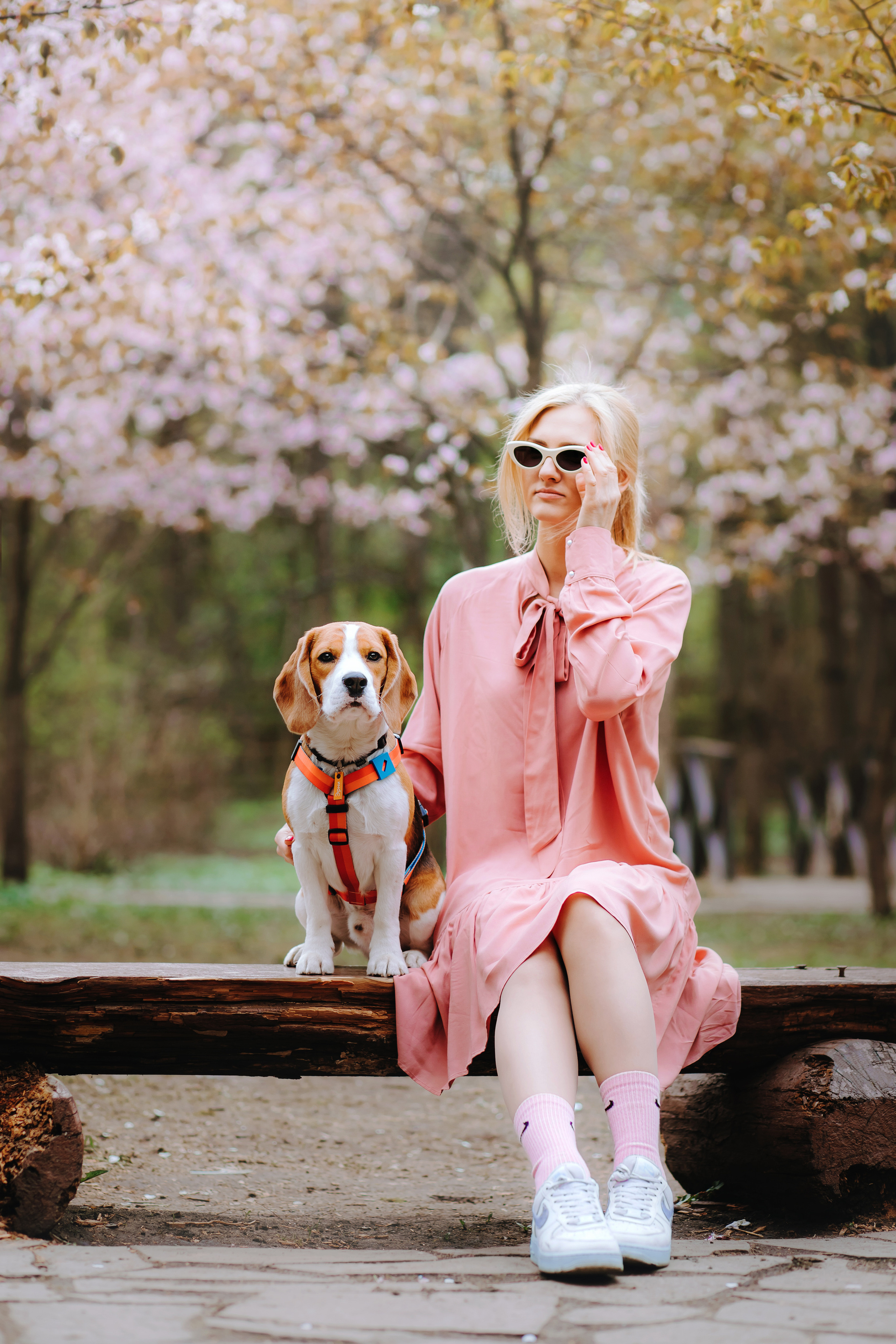 Фотопрогулка с собакой в бирюлевском дендропарке 