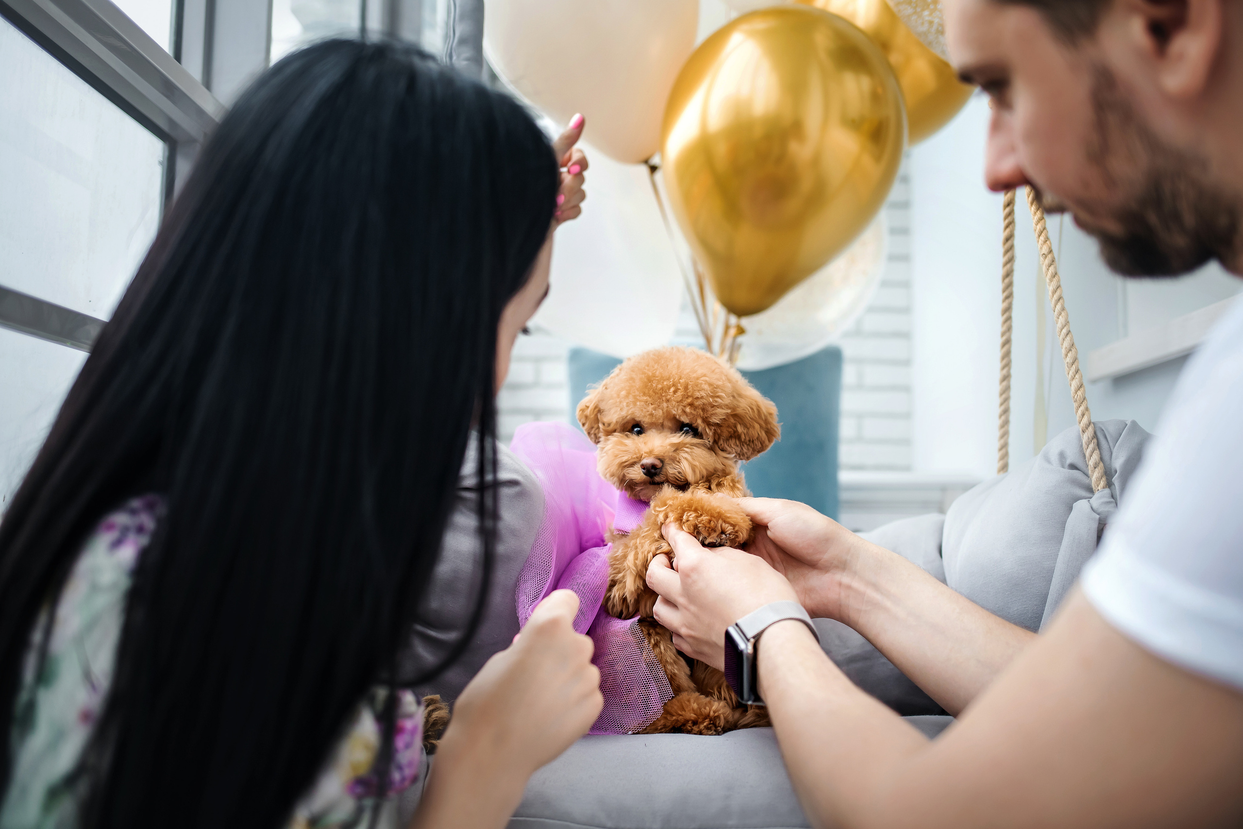 Фотосессия дня рождения собаки