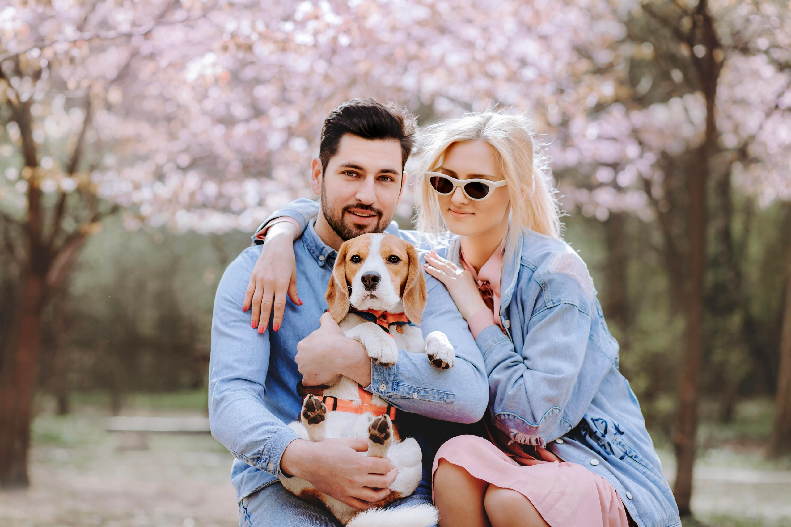 Весенняя фотопрогулка с собакой в цветущей сакуре 