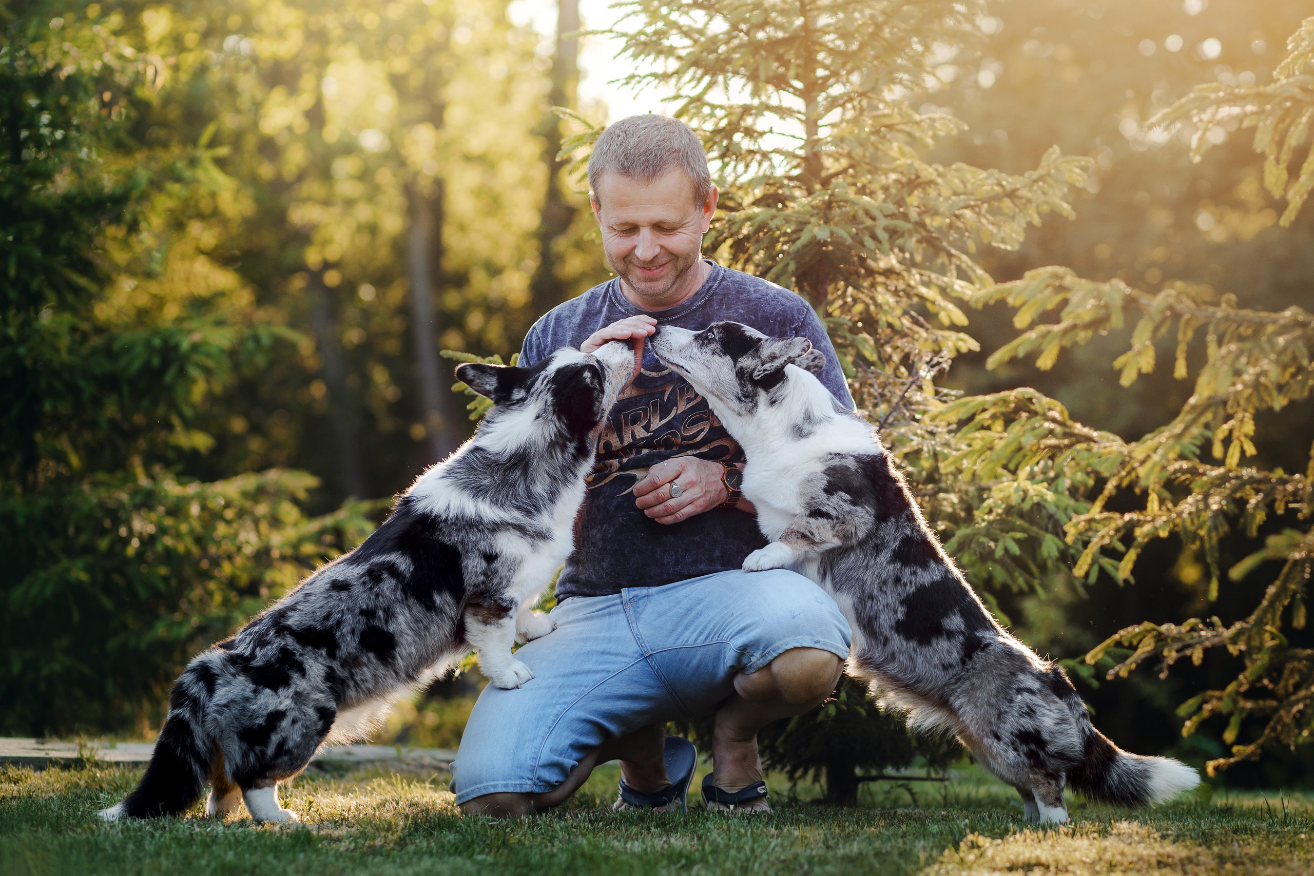 фотограф собак москва