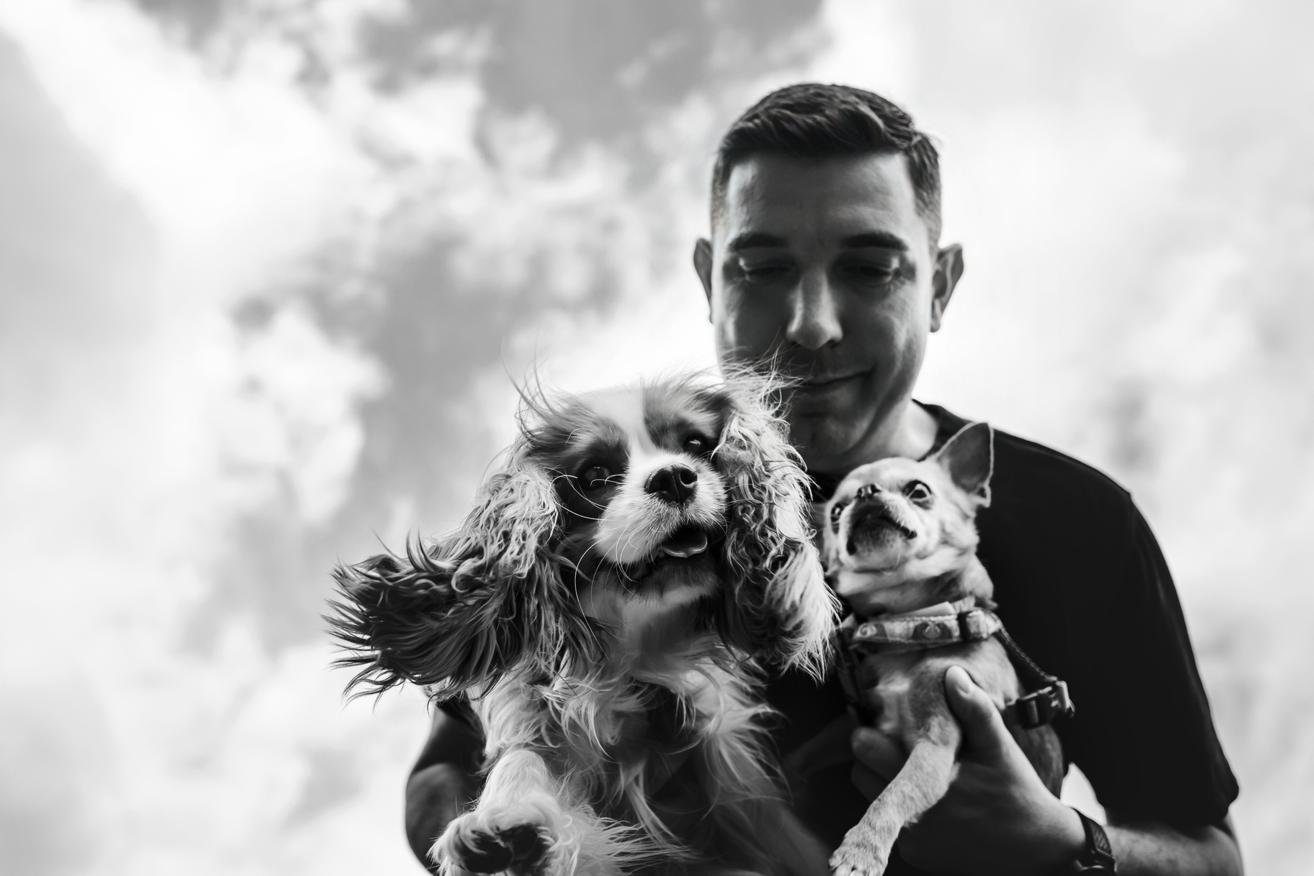 фотосессия с собакой